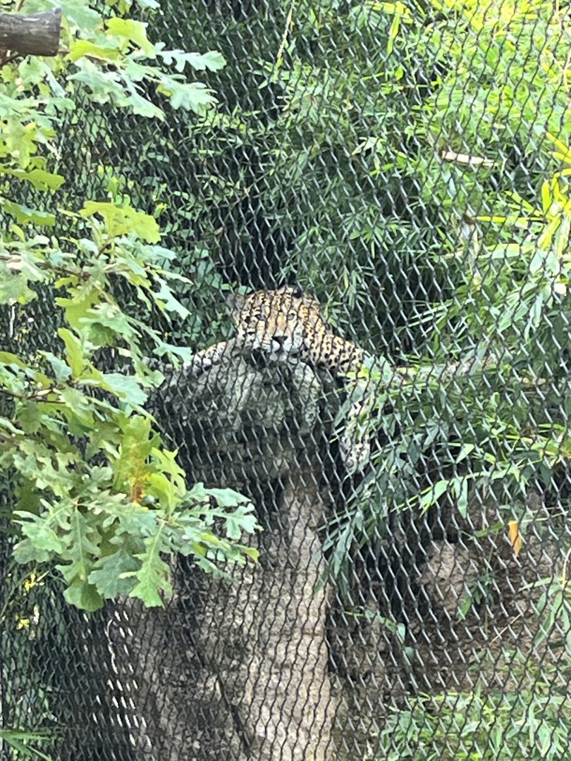 South America’s Pantanal