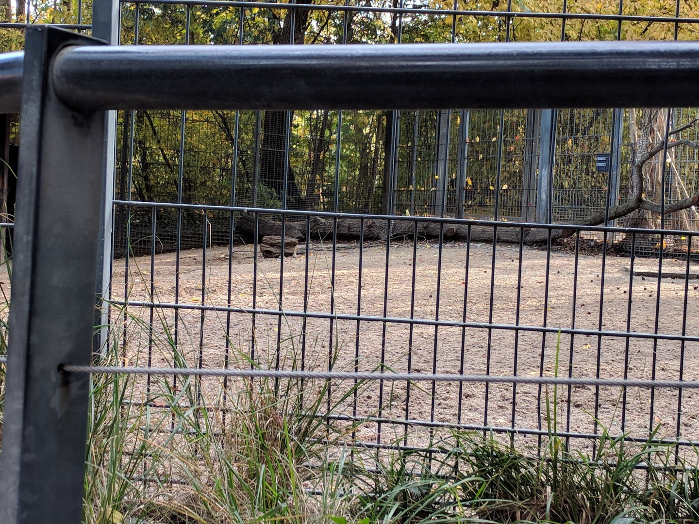 South Amerika Enclosure