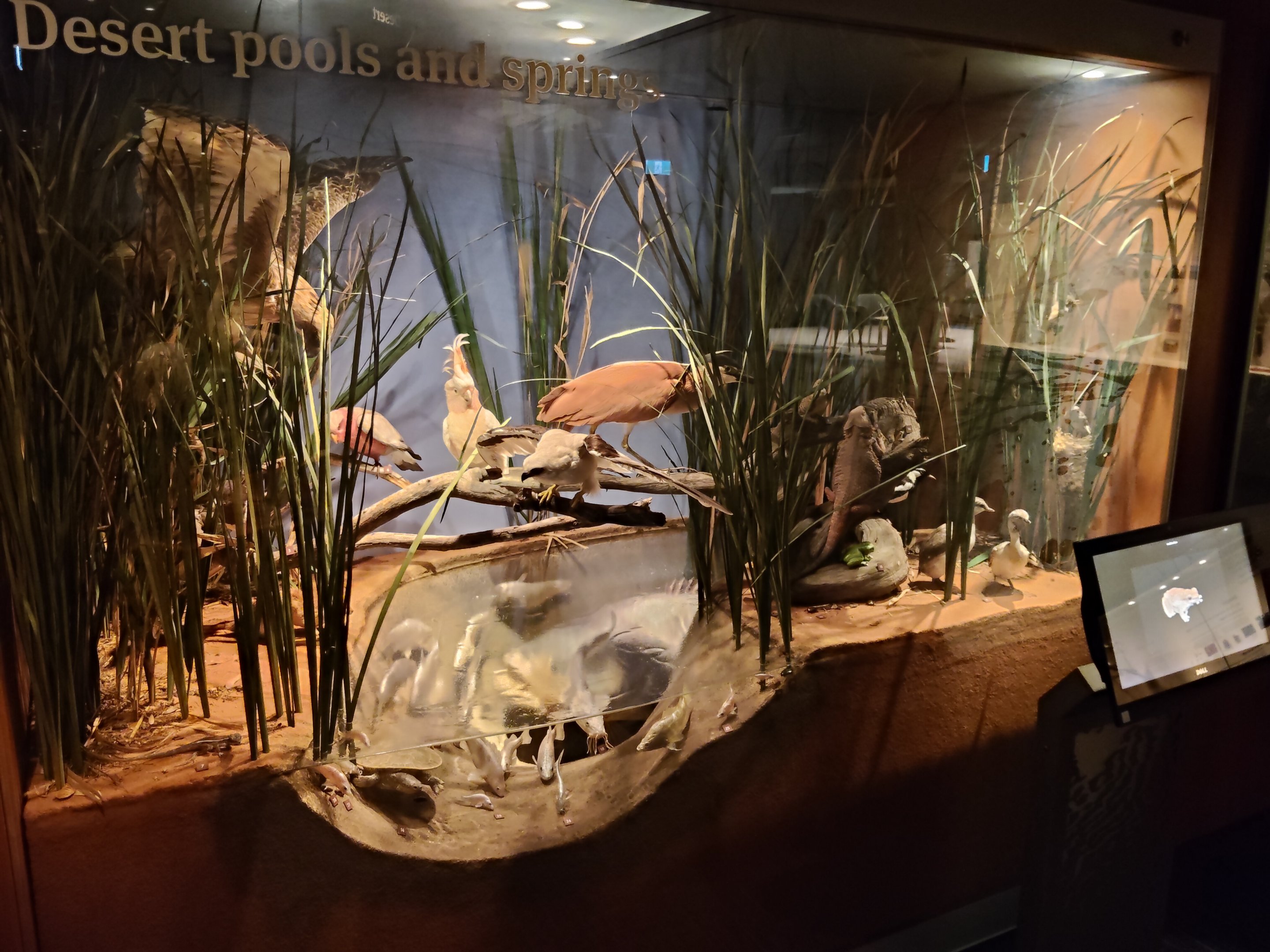 South Australian biodiversity displays