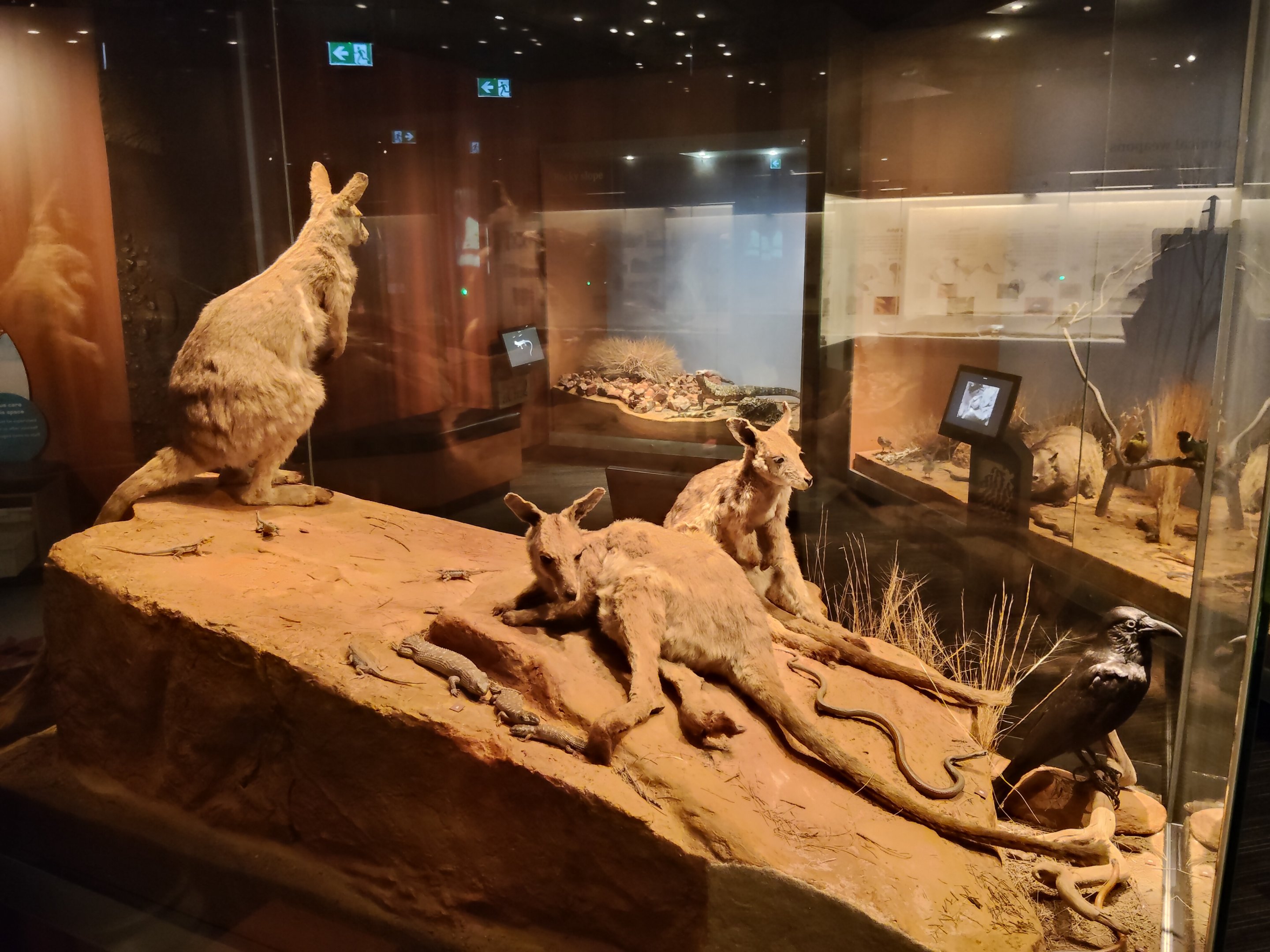 South Australian biodiversity displays