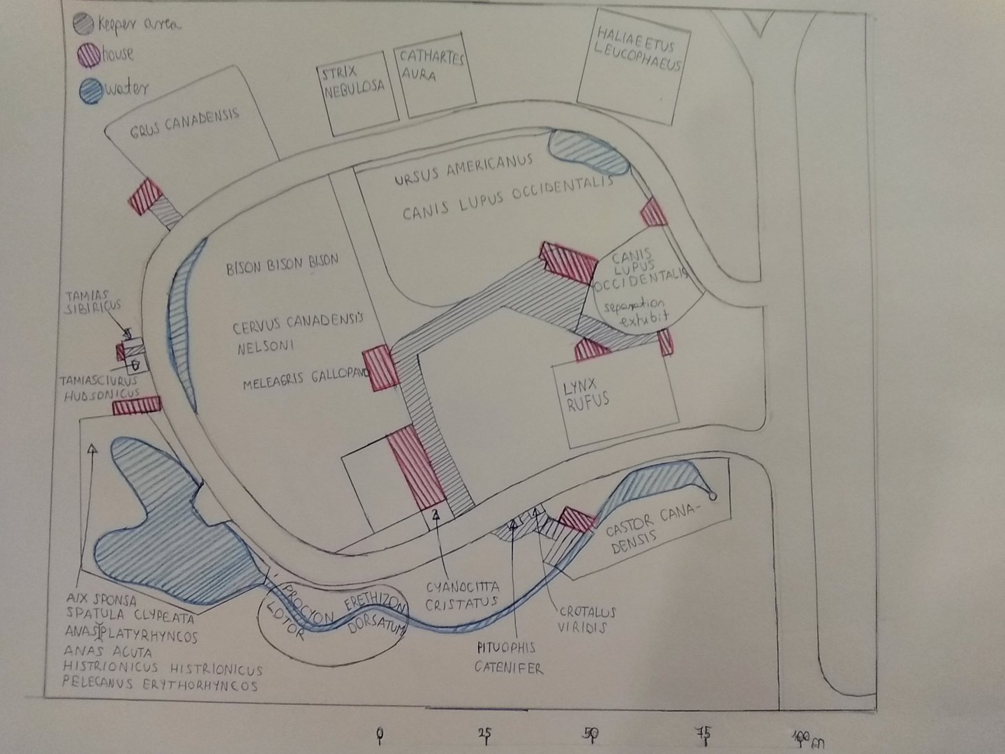 South Central Rockies forests part of my ecoregion zoo