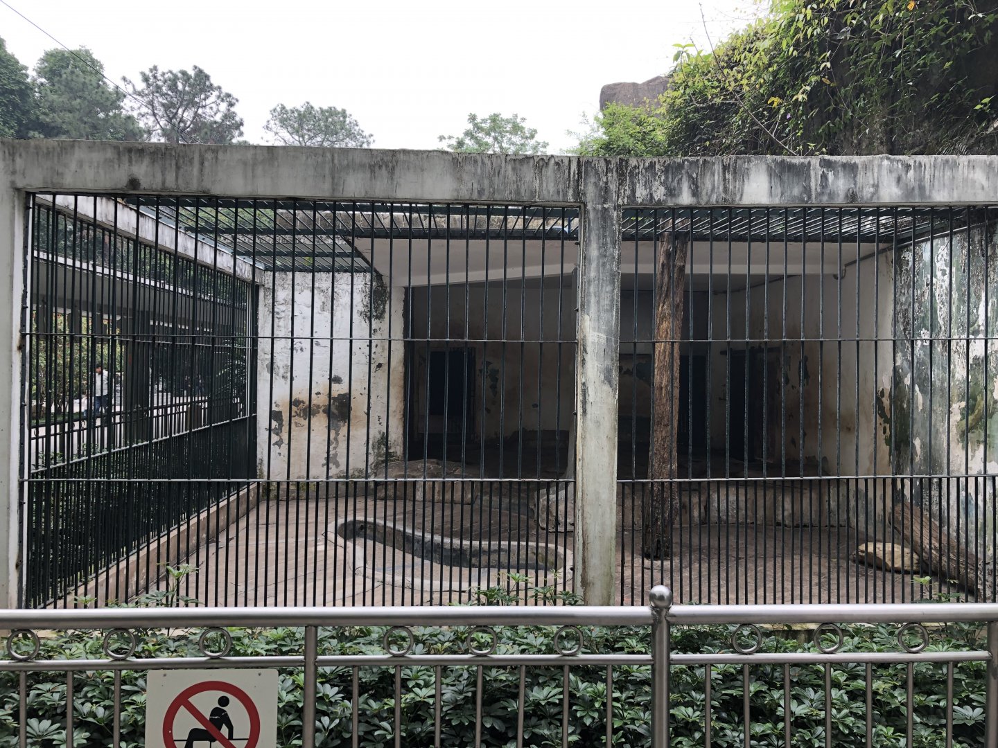 South China Tiger Cage