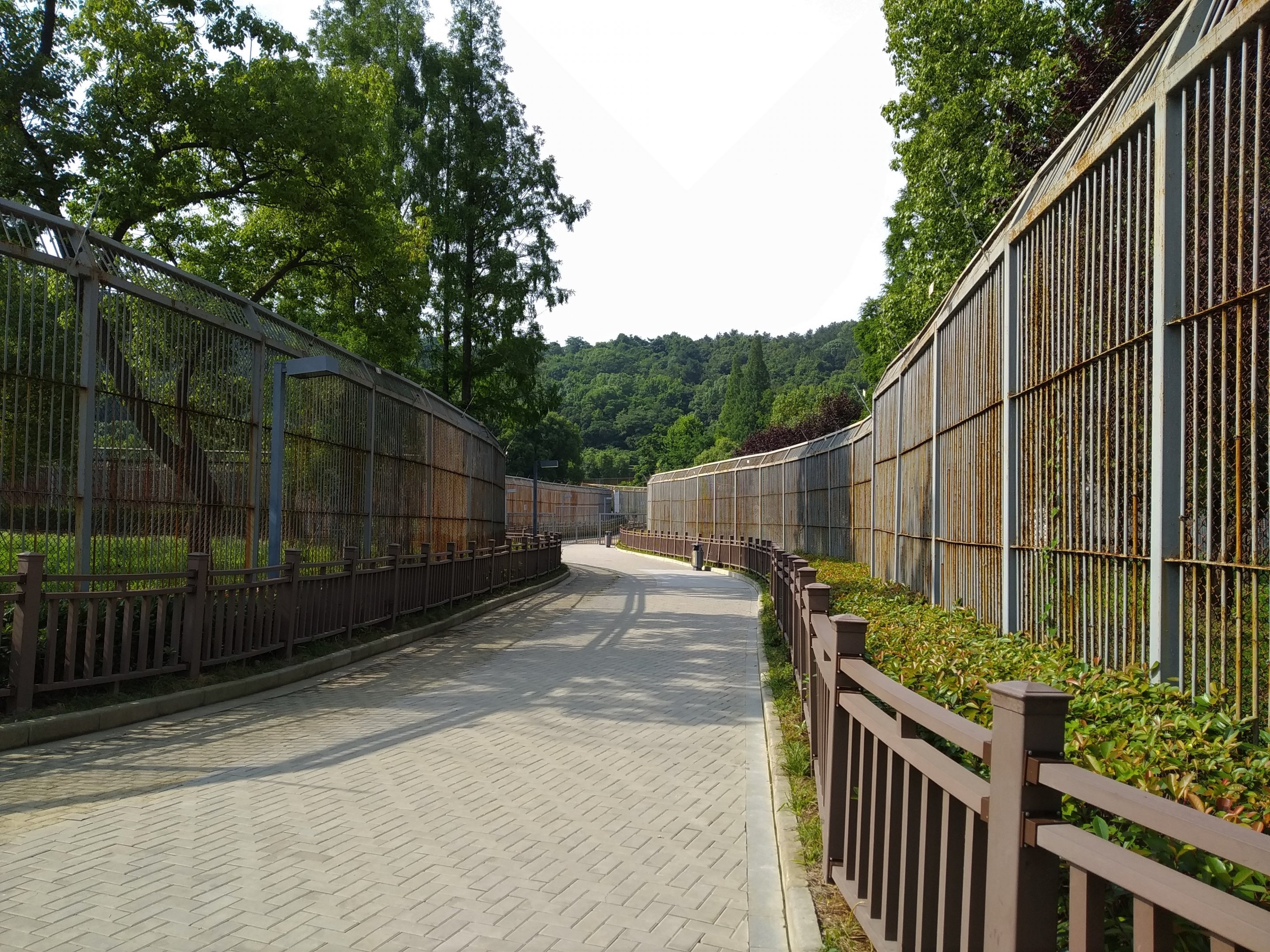 South China Tiger Complex