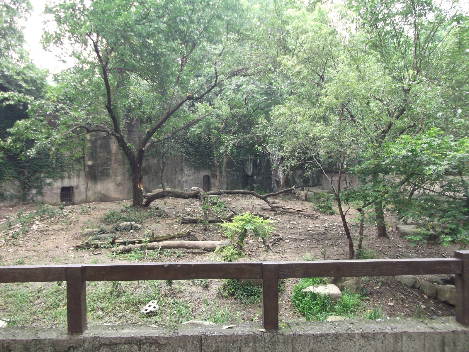 South China (?) Tiger enclosure 3