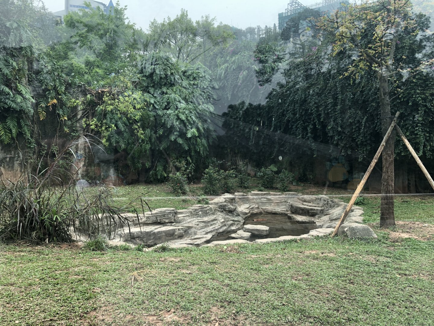 South China Tiger Exhibit