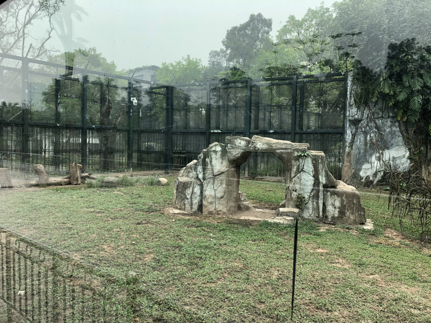 South China Tiger Exhibit