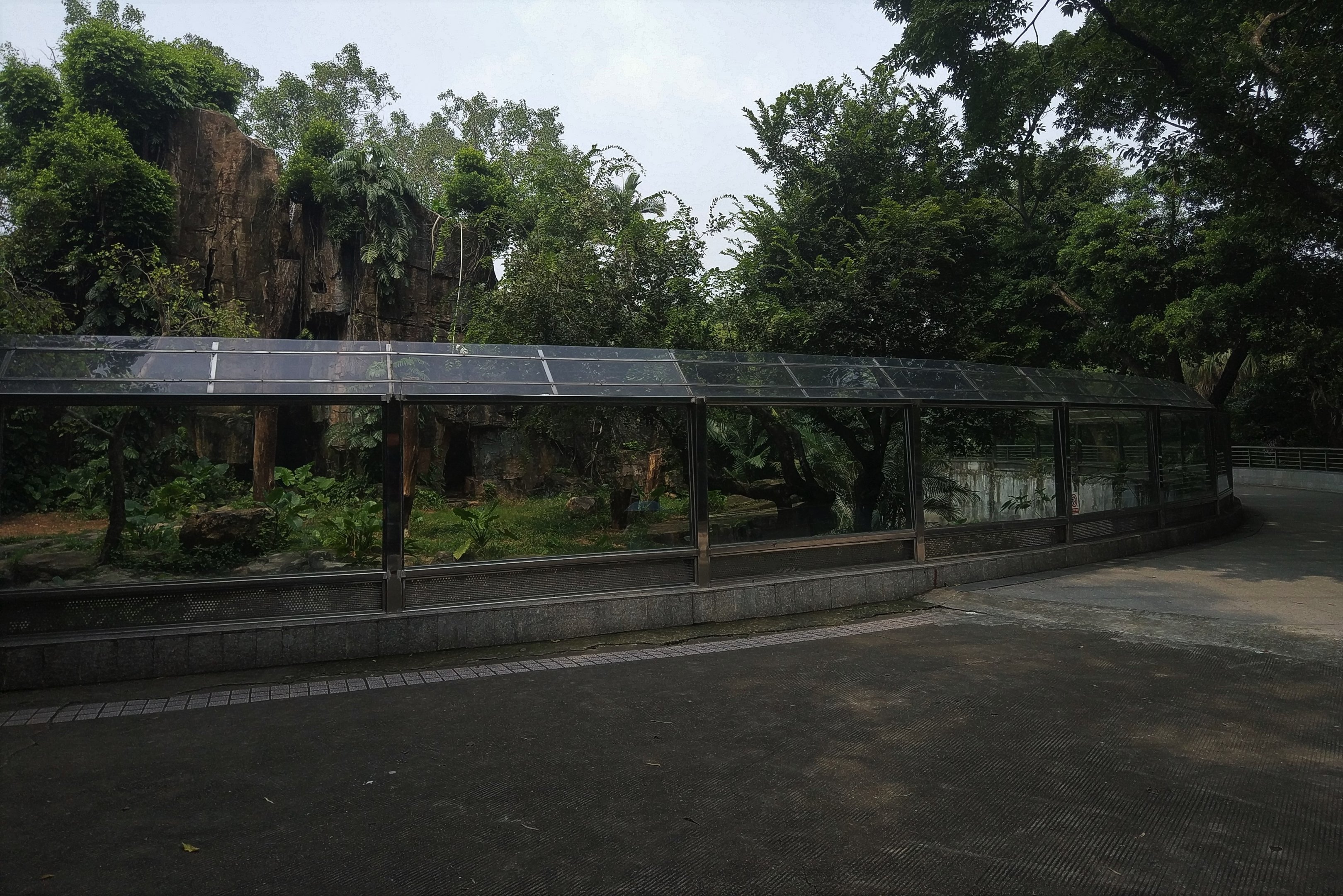 South China Tiger Exhibit