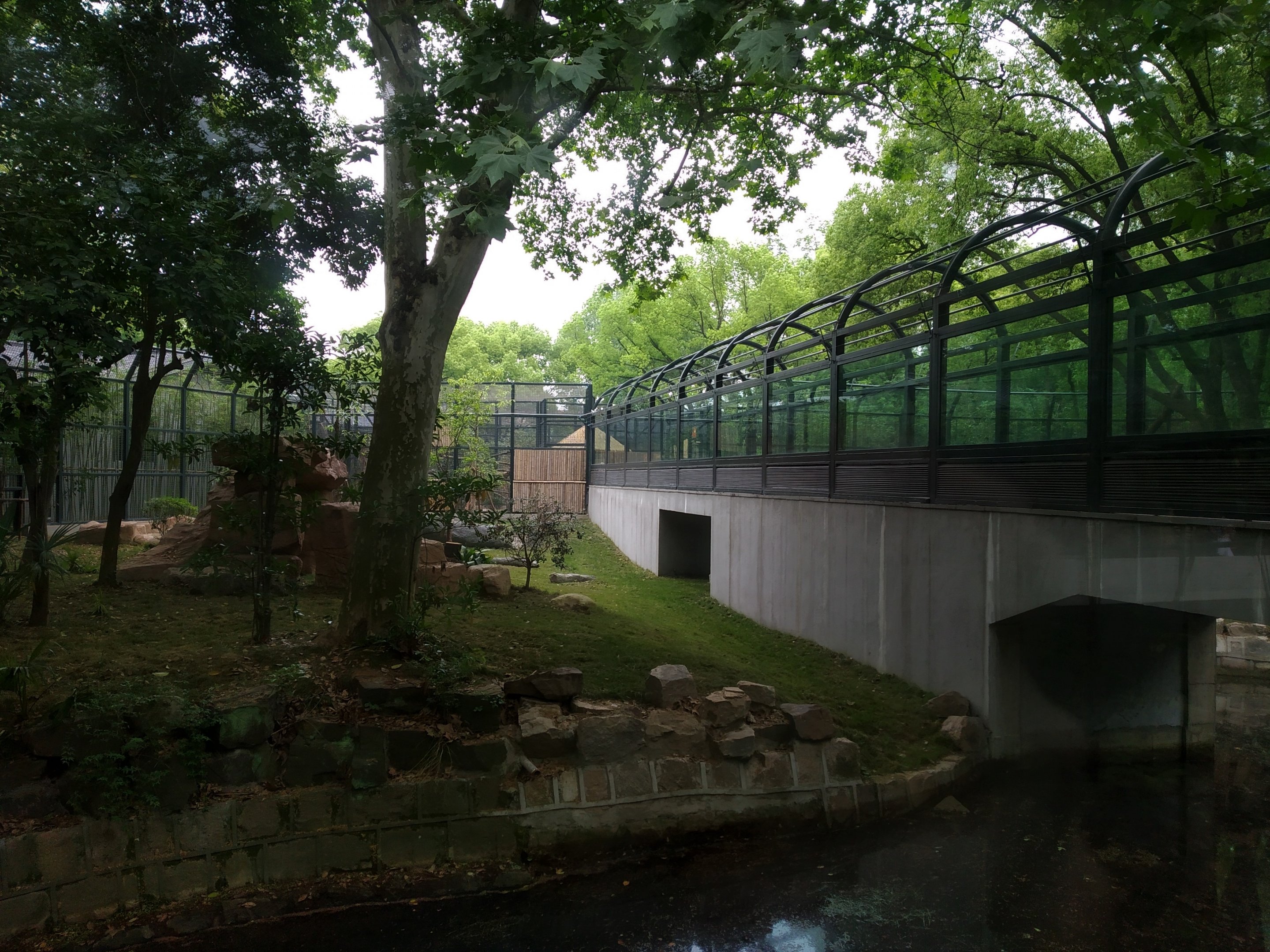 South Chinese Tiger Exhibit