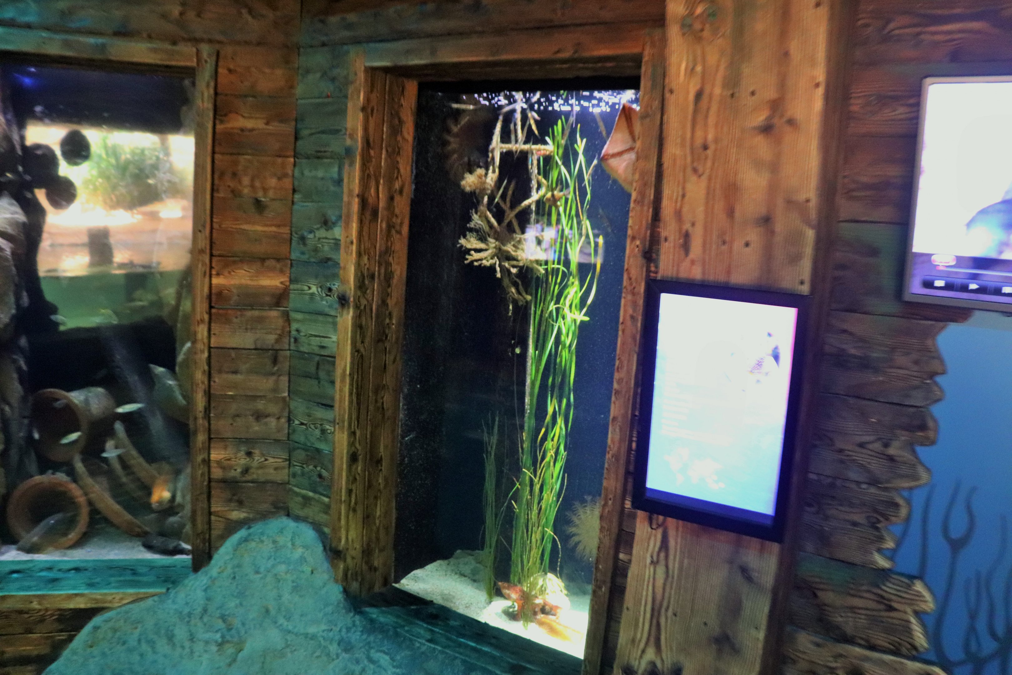 South Coast Shipwreck- Tank Example