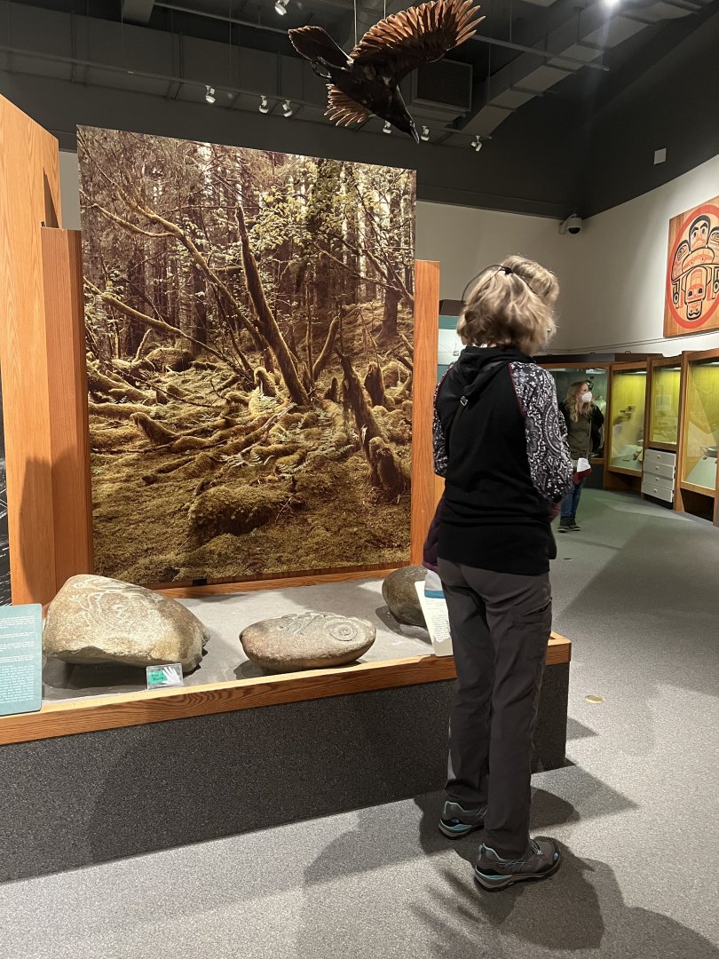 South-east Alaska Display