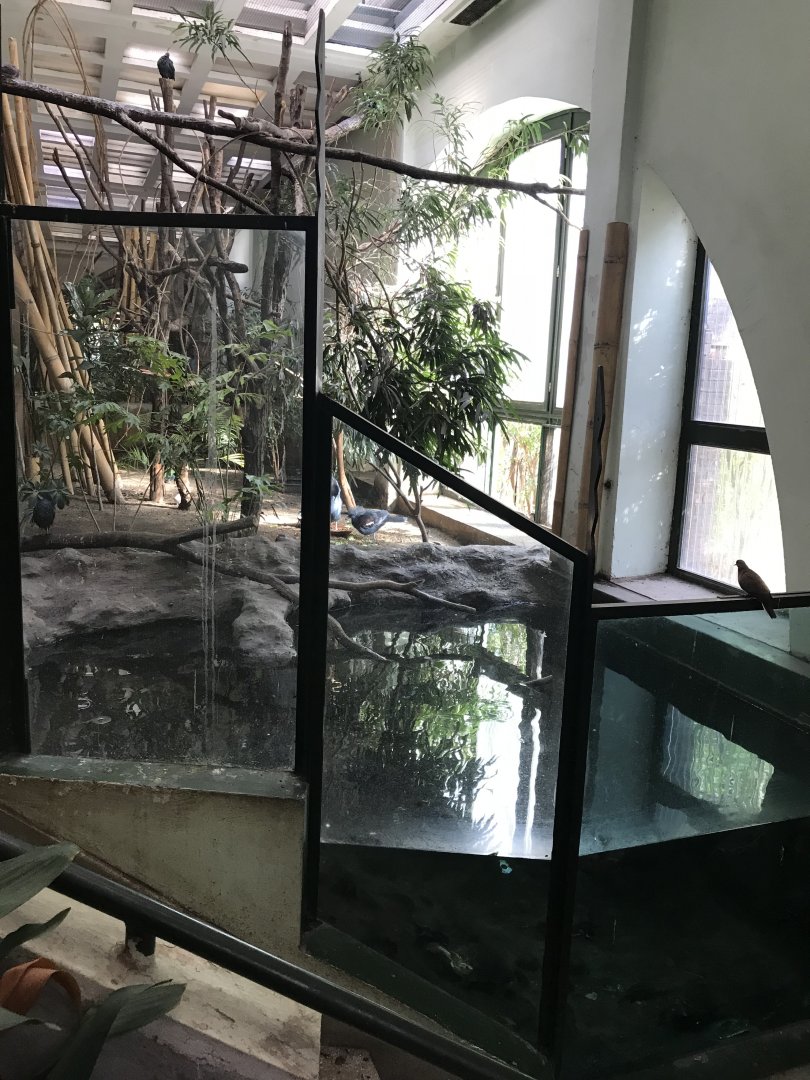 South East Asia House 171018