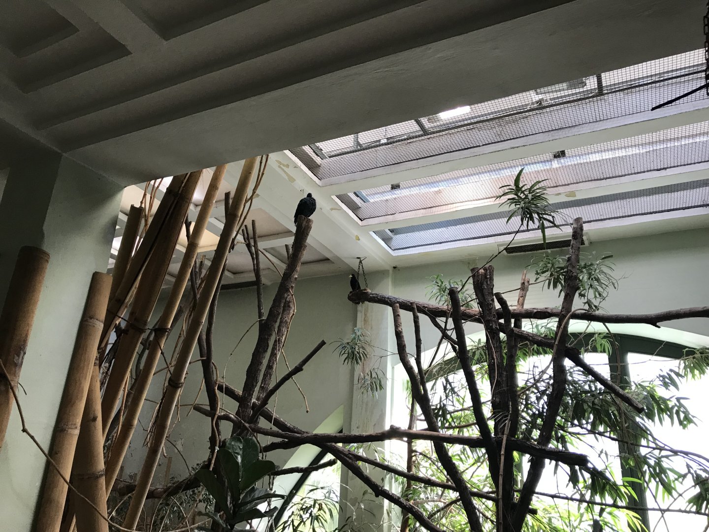 South East Asia House 171018