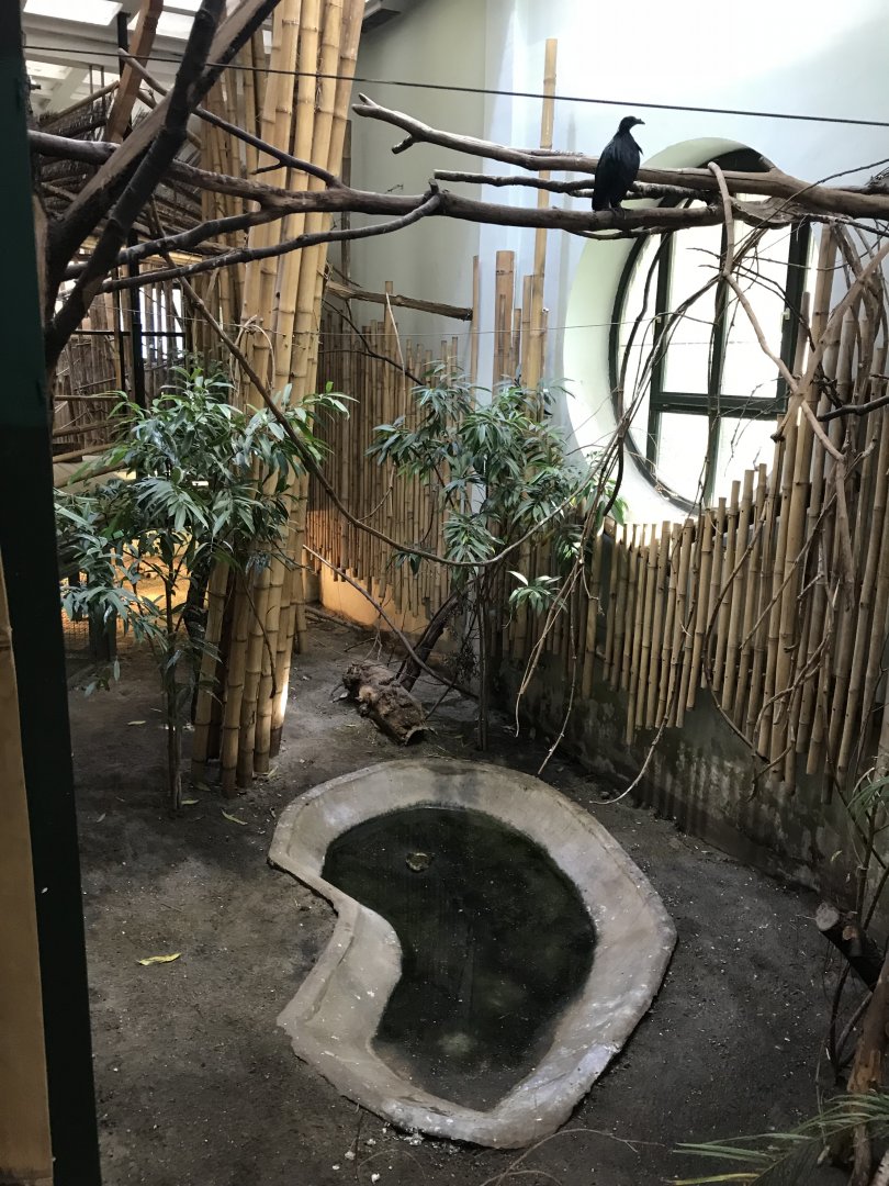 South East Asia House 171018