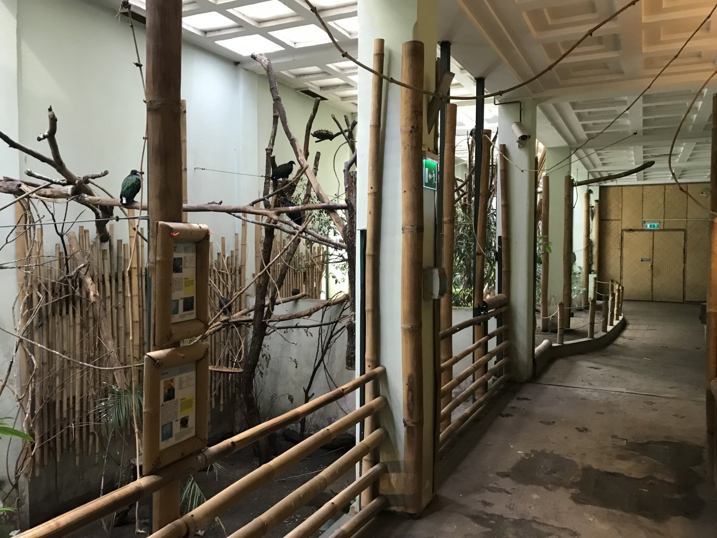 South East Asia House 171018