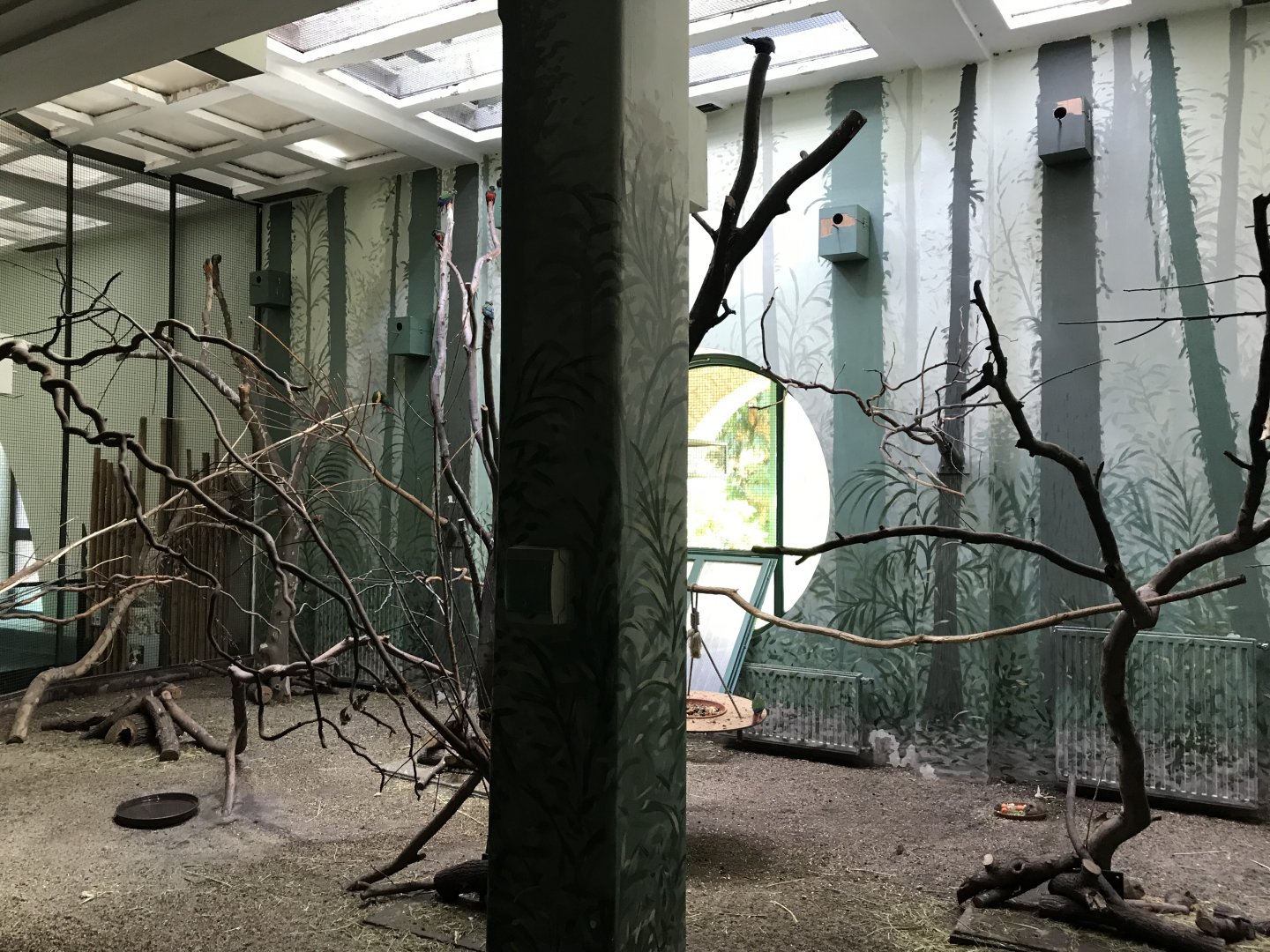 South East Asia House - Freeflight aviary 171018