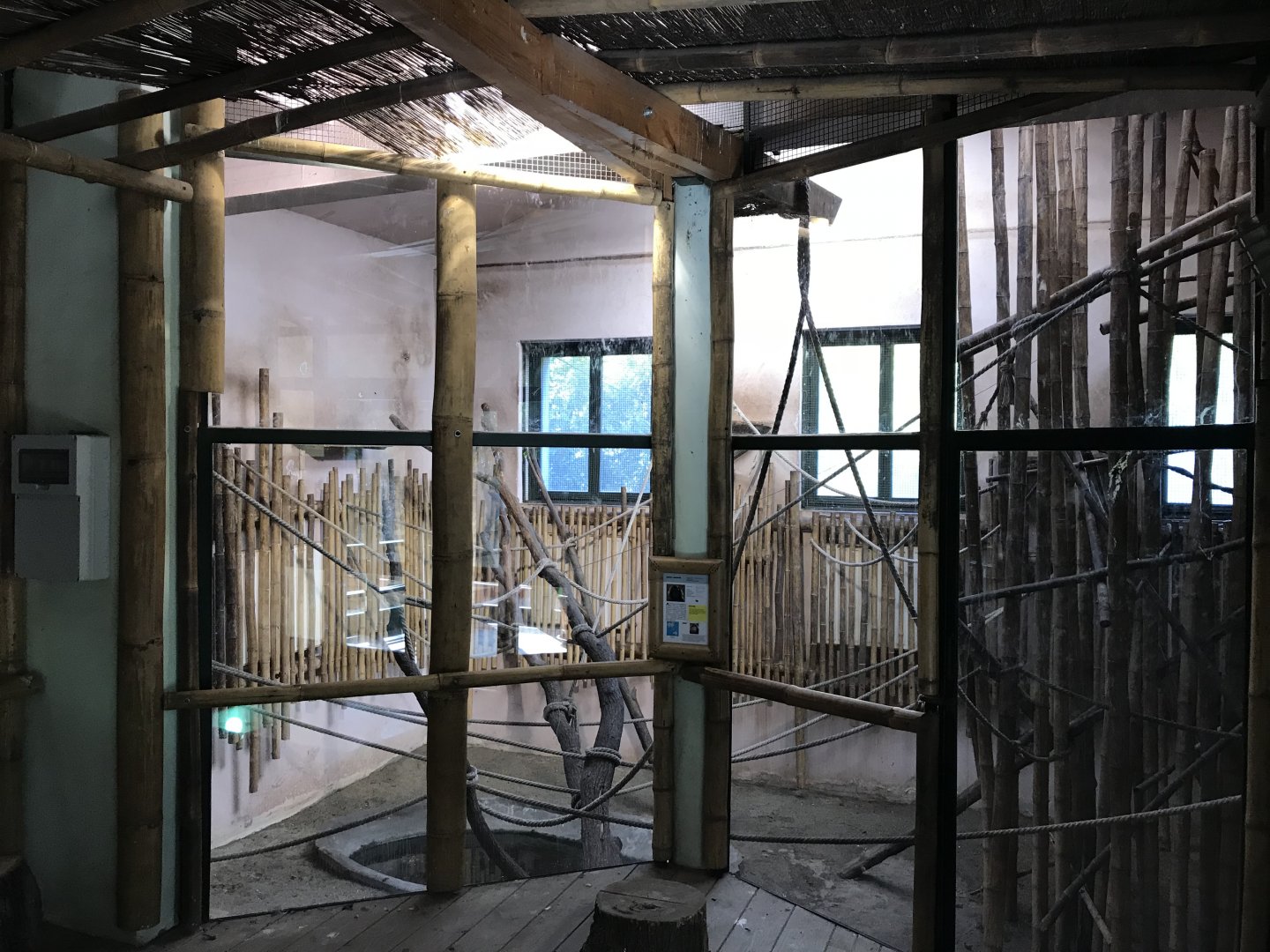 South East Asia House - Javan langur indoors 171018