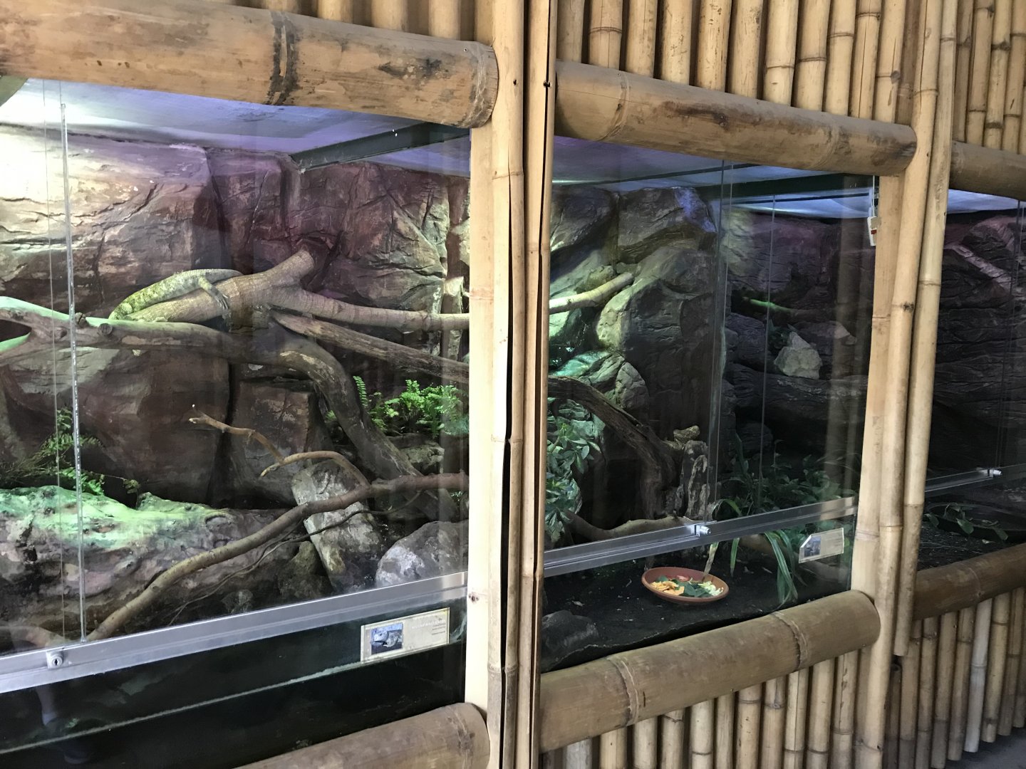 South East Asia House - vivaria 171018