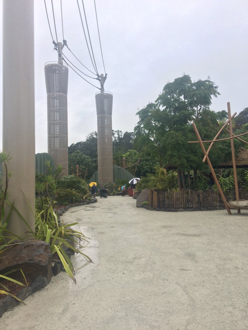 South East Asia Jungle Track Entrance