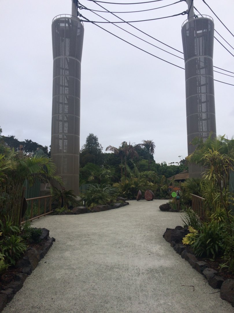 South East Asia Jungle Track High Ropes Connected