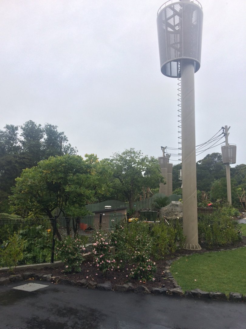 South East Asia Jungle Track High Ropes