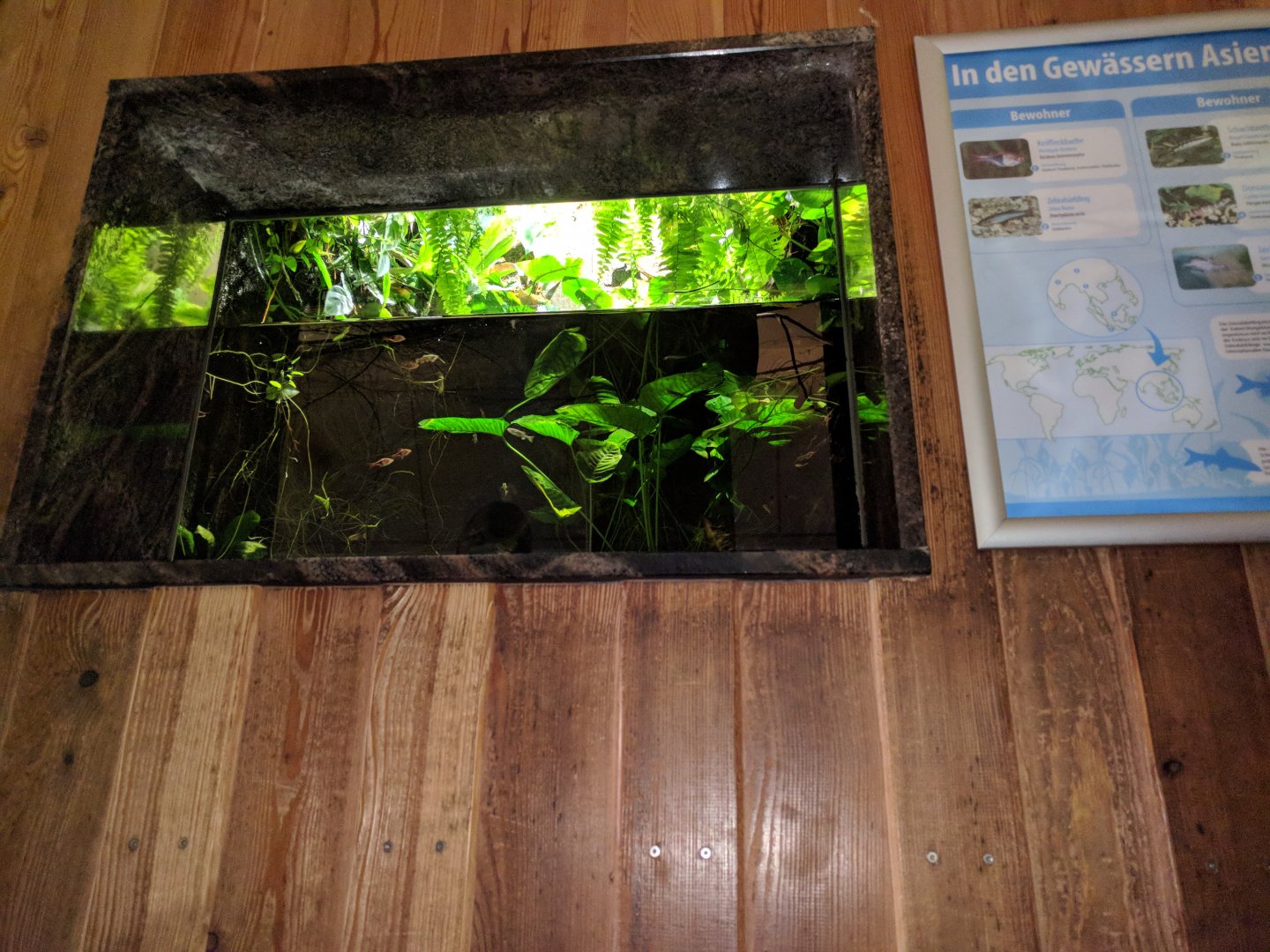 South East Asia Palaudarium