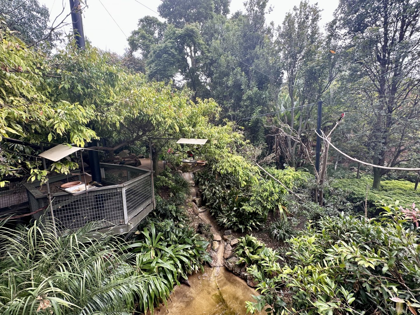 South East Asian Aviary