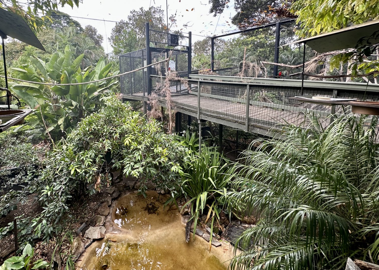 South East Asian Aviary
