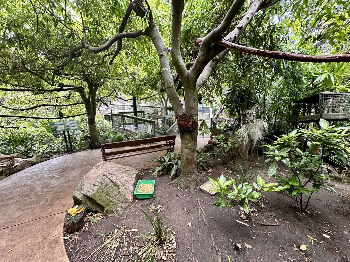 South East Asian Aviary