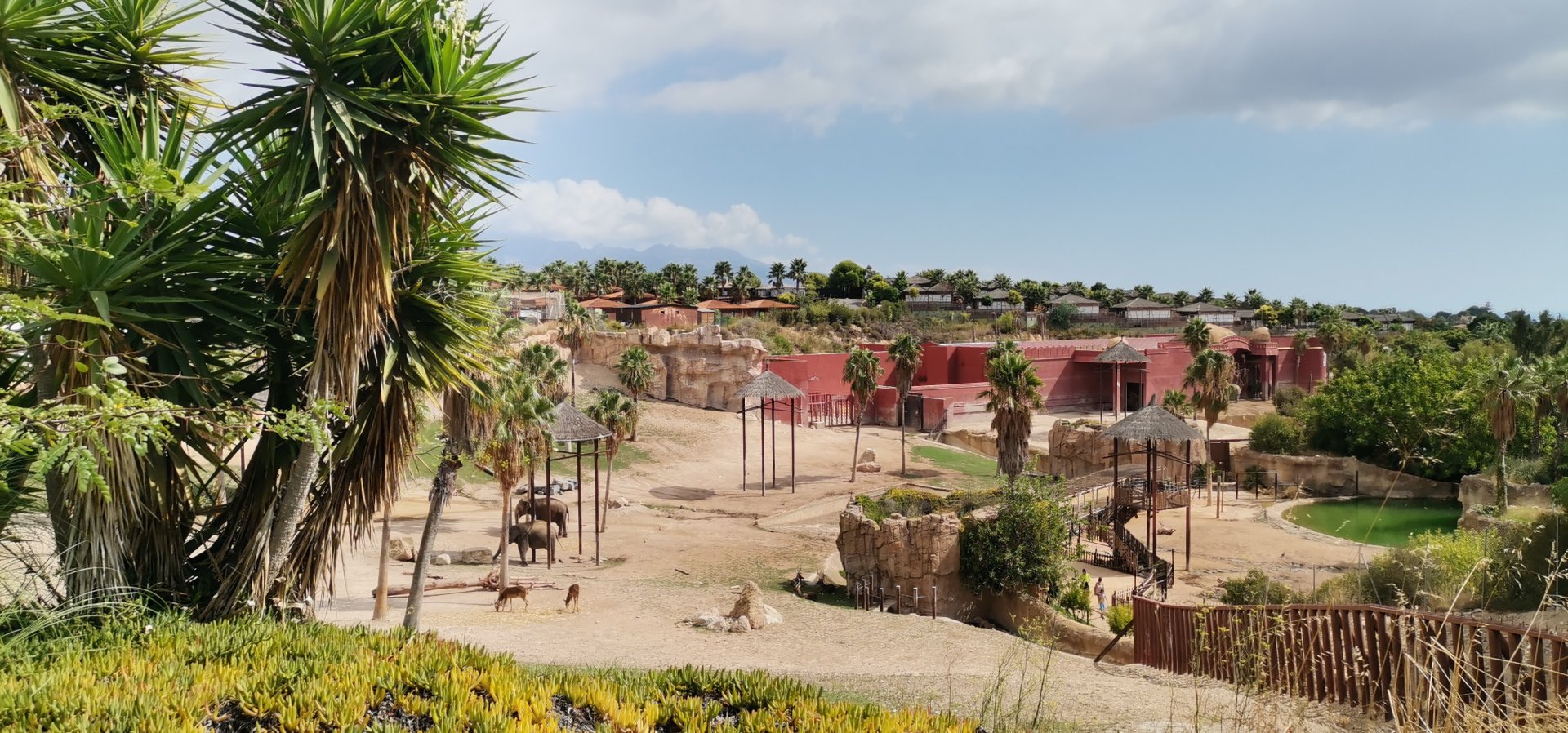 South-East Asian elephan, Barasingah, Chital, Blackbuck yard