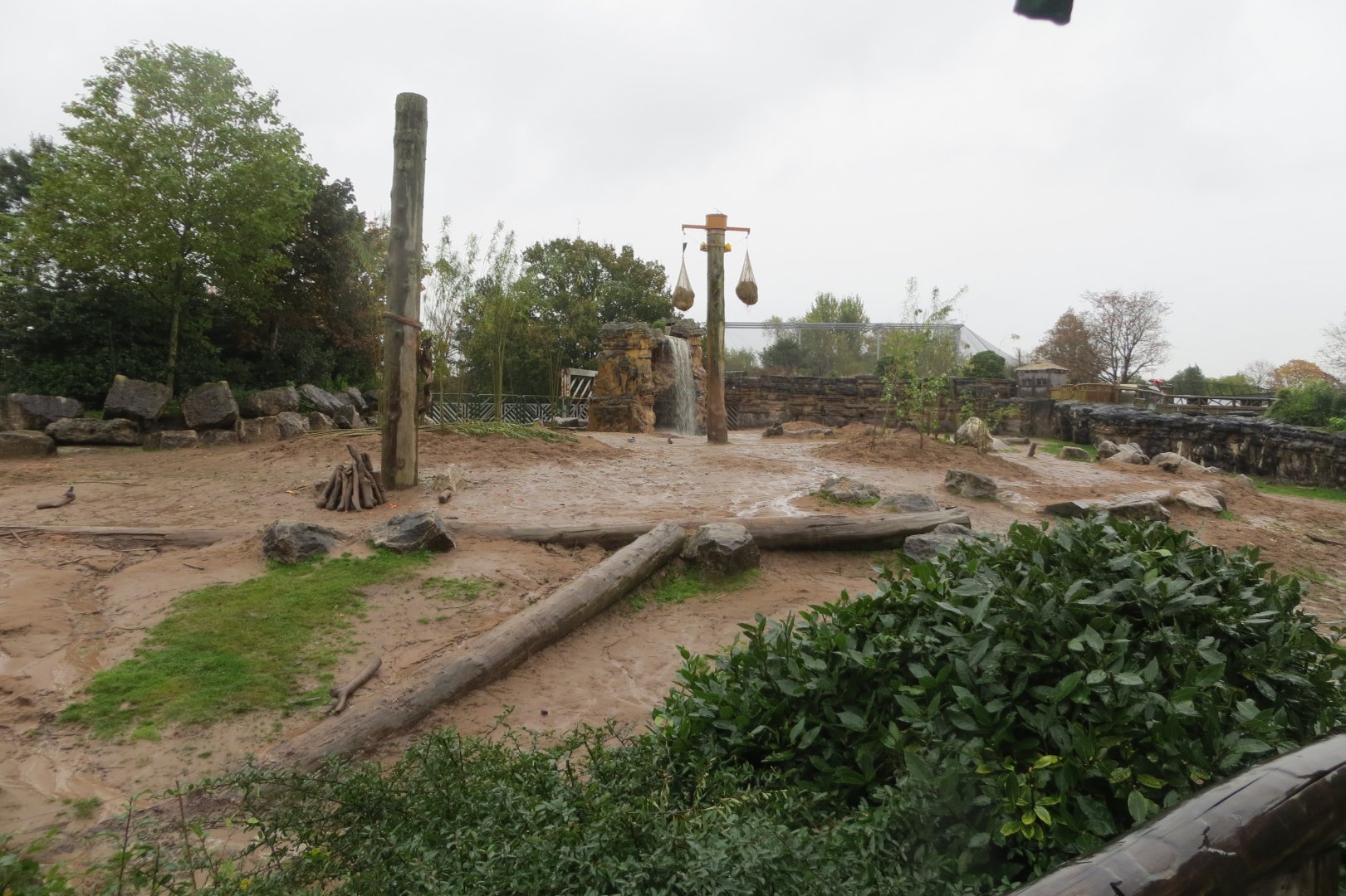 South East Asian elephant outdoors 261019