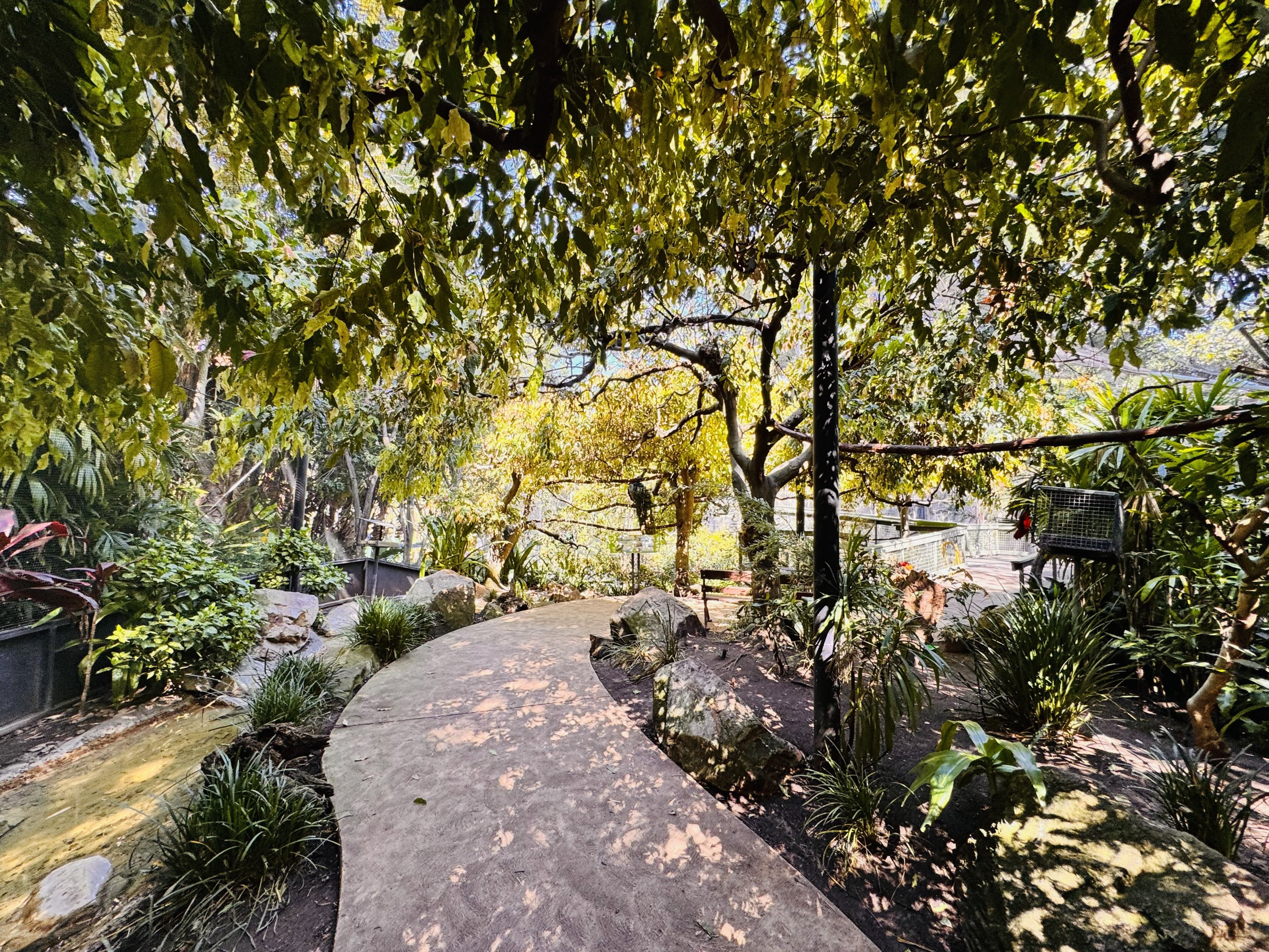 South-east Asian walkthrough aviary