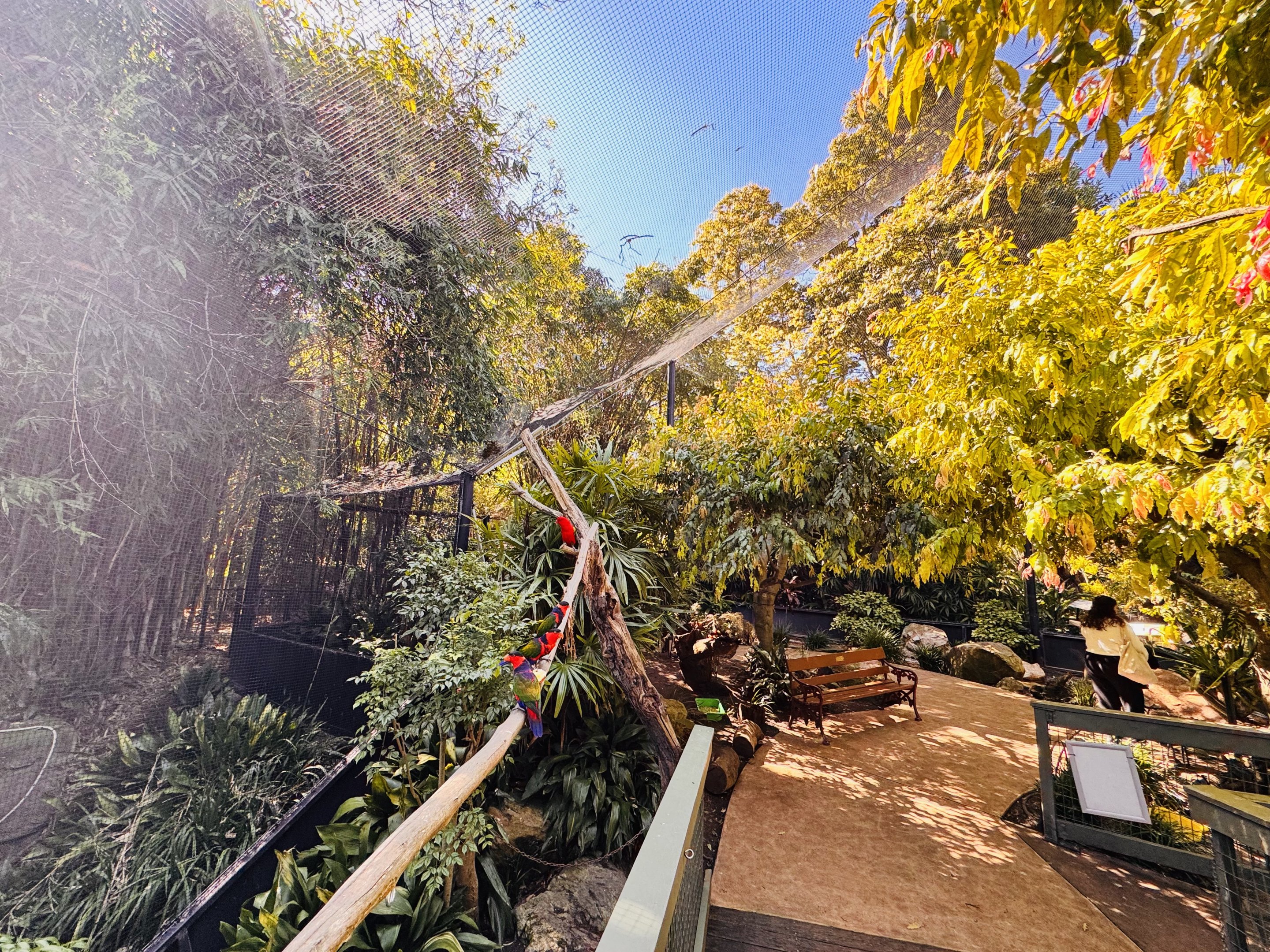 South-east Asian walkthrough aviary