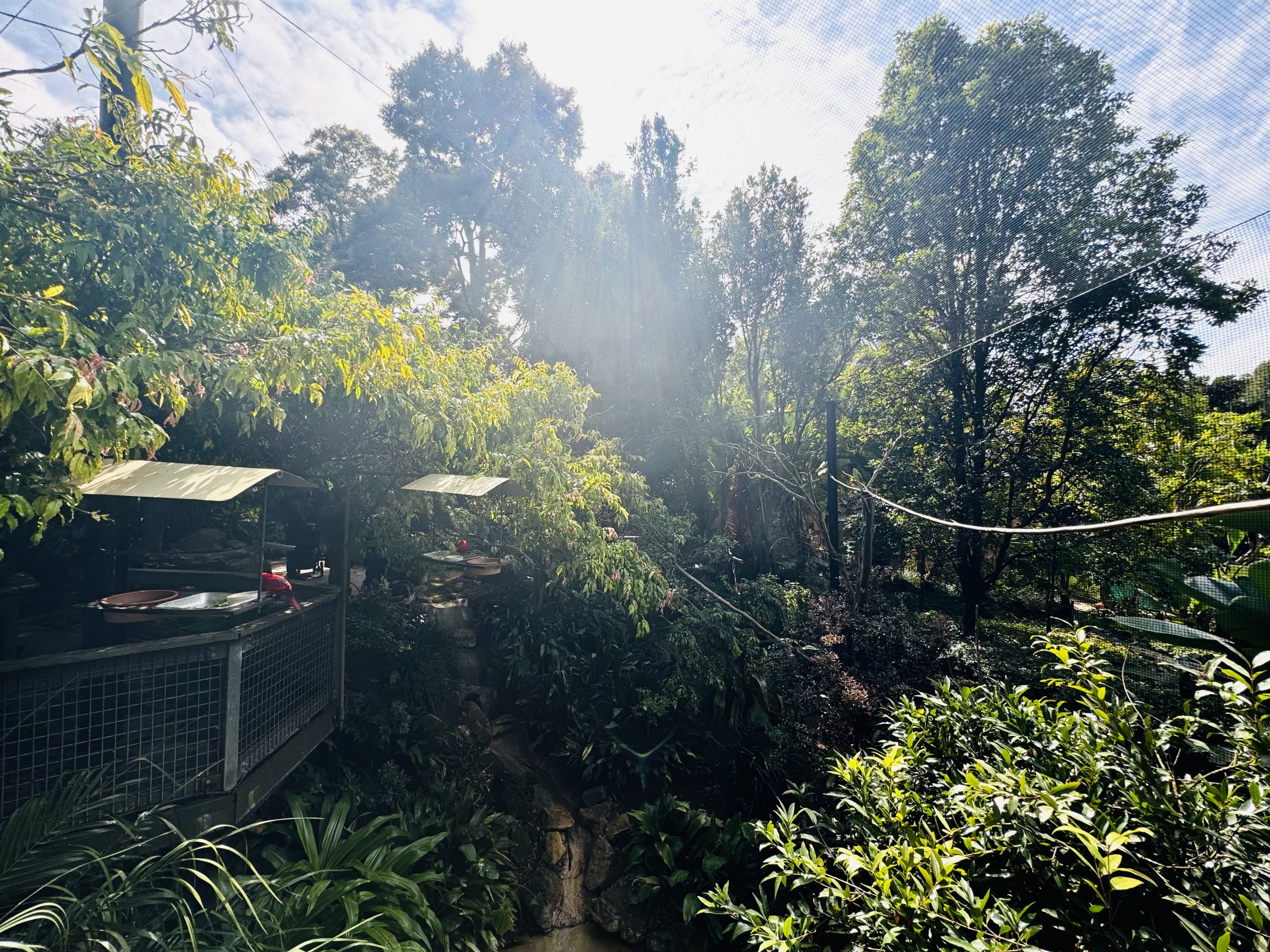 South-east Asian walkthrough aviary