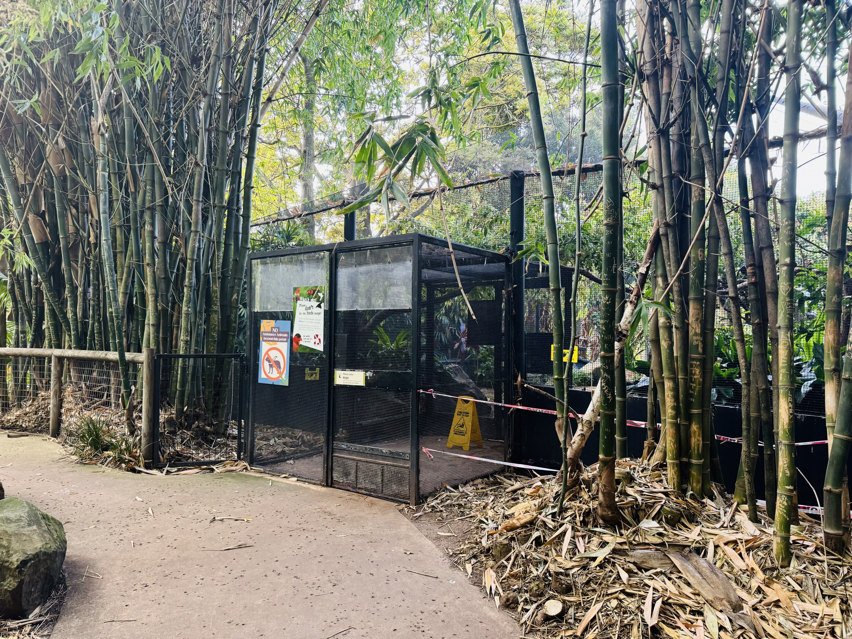 South-east Asian walkthrough aviary