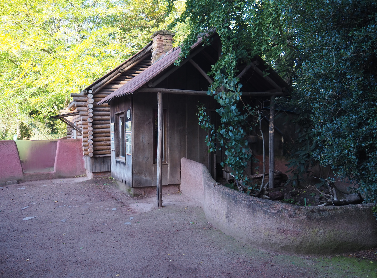South-east Australian short-beaked echidna exhibit and house, 2020-10-10
