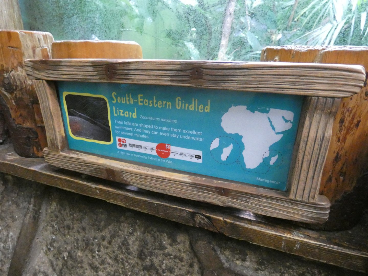 South-eastern Girdled Lizard signage