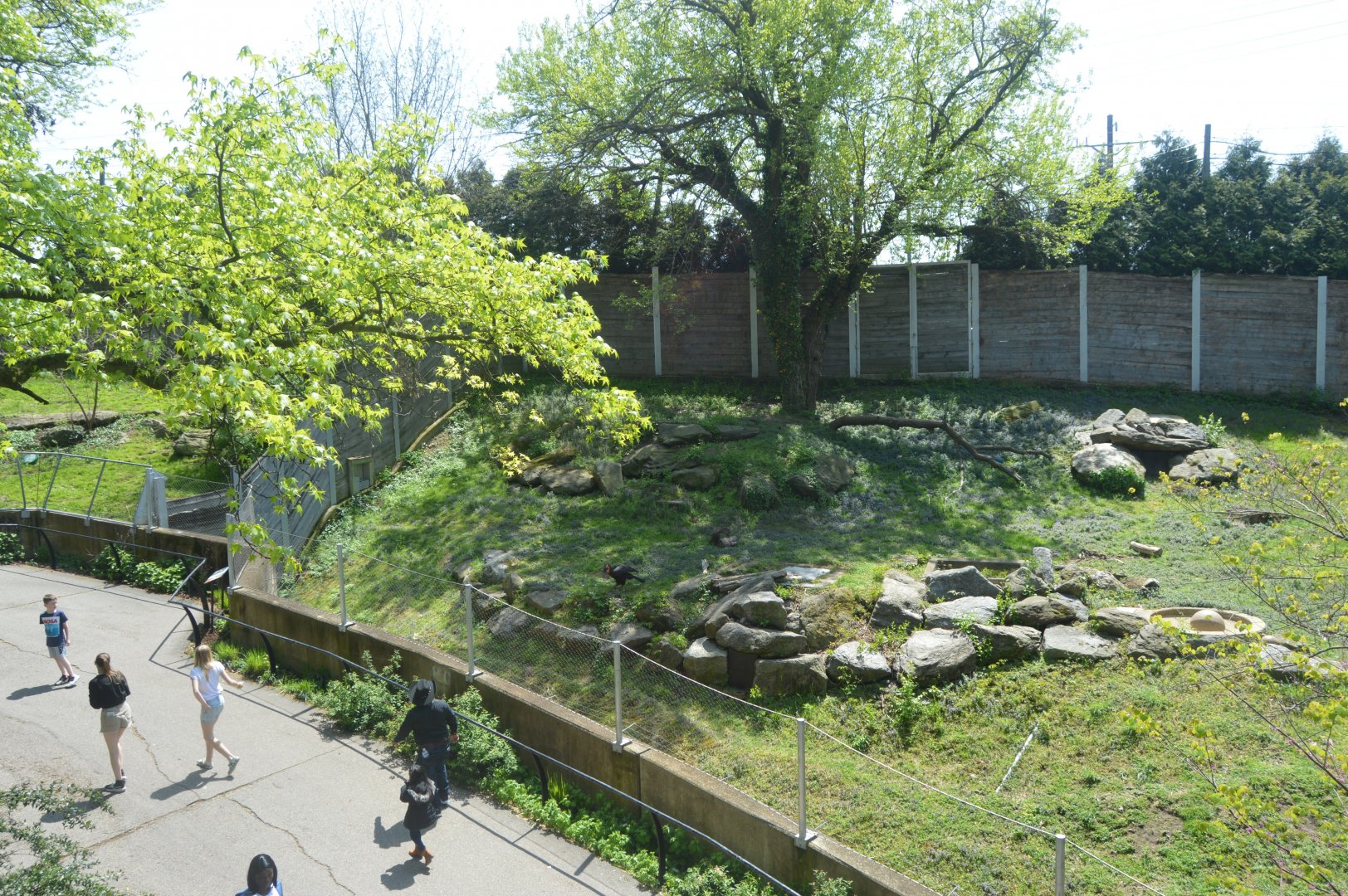 South End Exhibits - Exhibits for Southern Ground-Hornbill (Bucorvus leadbeateri) and Southern and Eastern African Cheetah (Acinonyx jubatus jubatus)