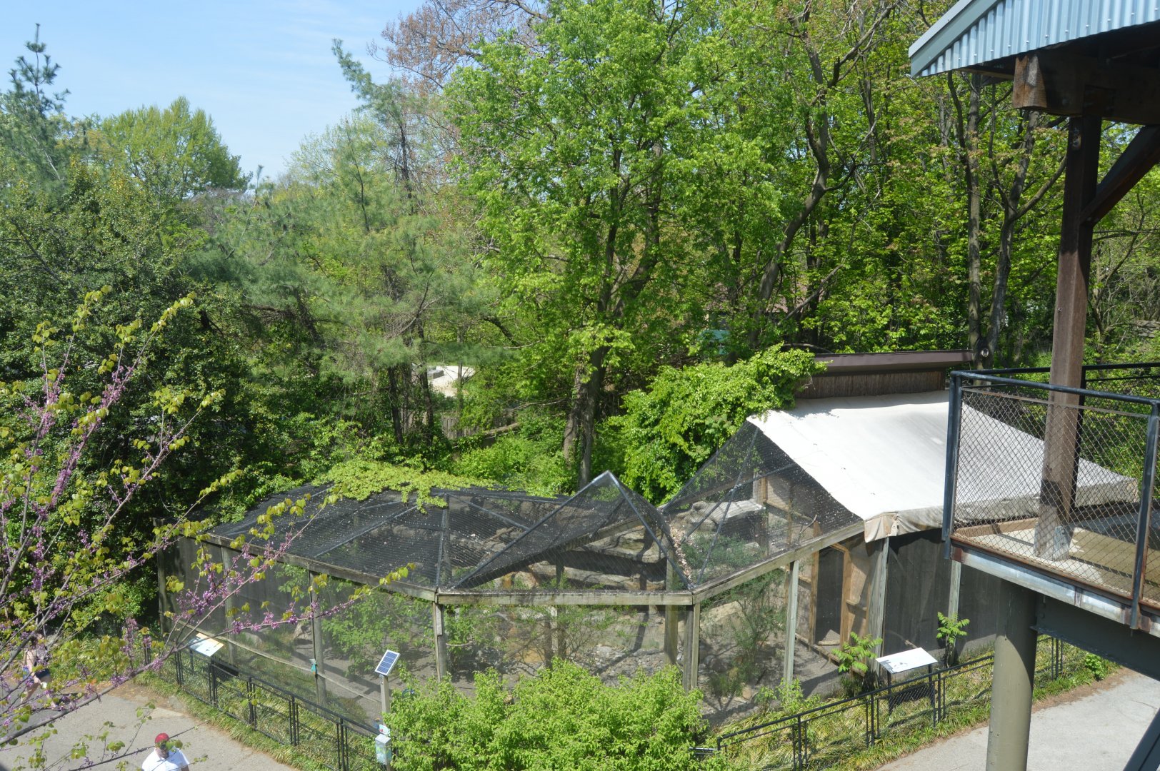 South End Exhibits - Scenery from Elevated Pathway