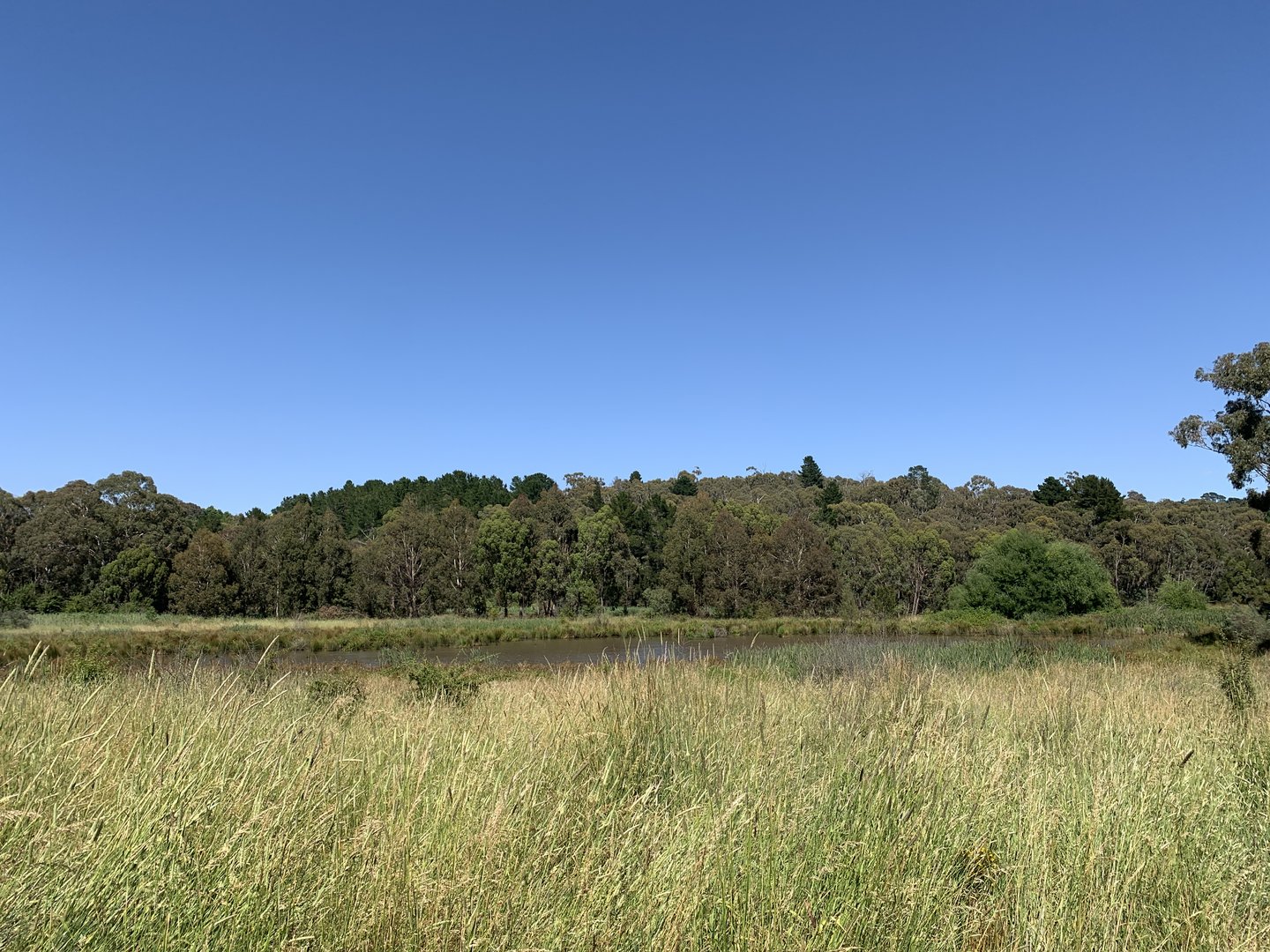 South End of Lake Canobolas