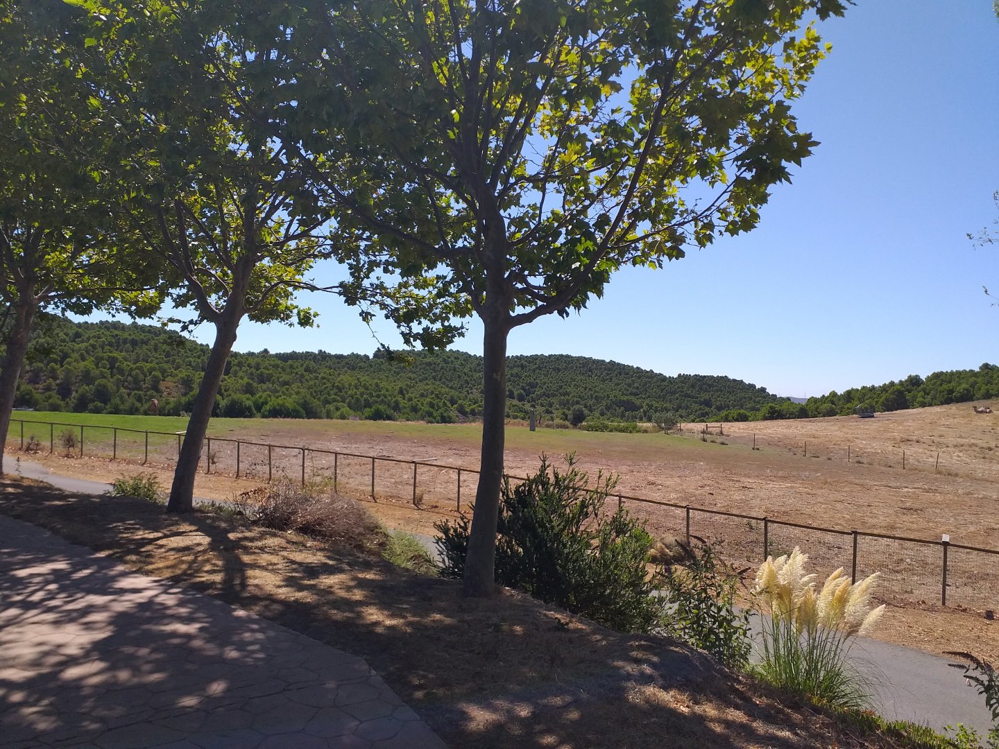 South-european water buffalo, Dromedary camel and Scottish highland cattle paddock  -Sendaviva (2020)