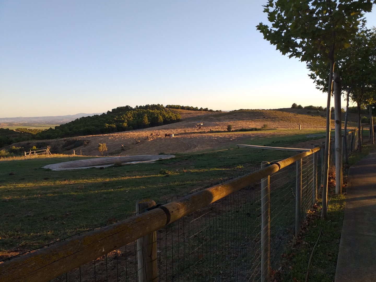 South-european water buffalo, Dromedary camel and Scottish highland cattle paddock  -Sendaviva (2020)