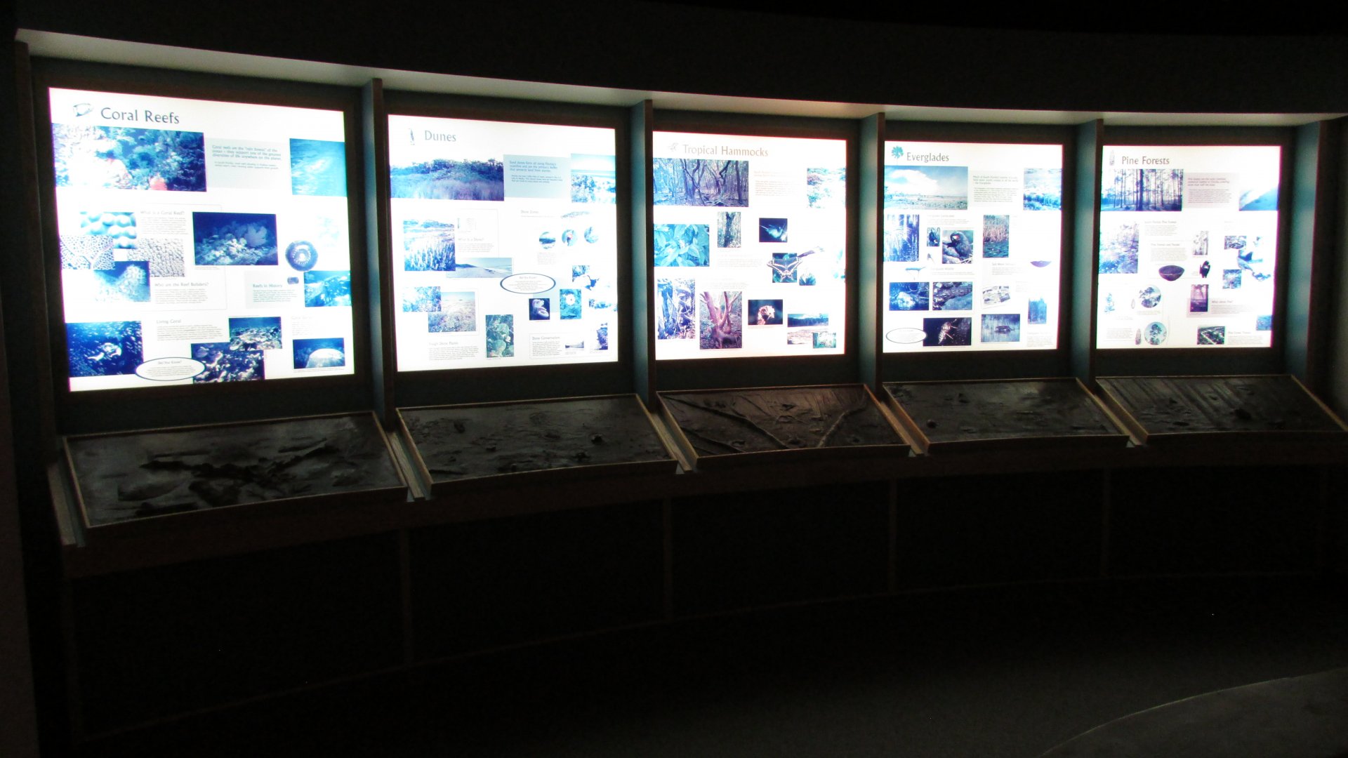 South Florida Environments