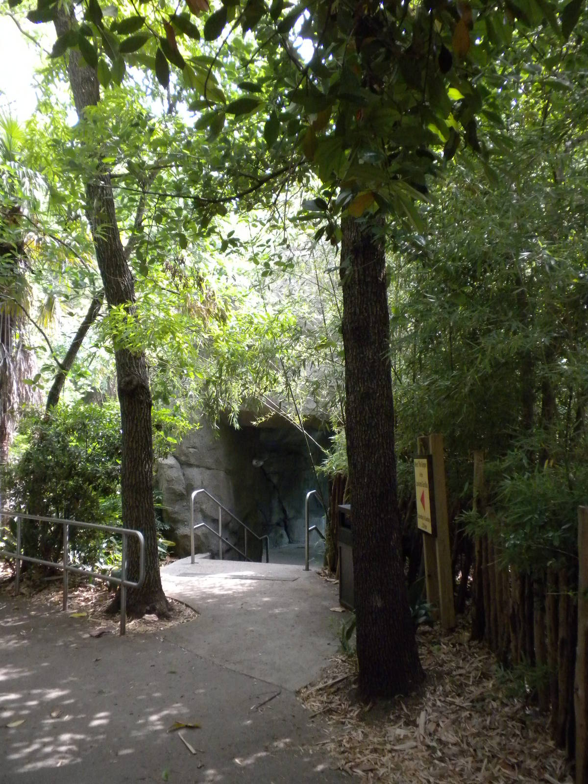 South Gorilla Viewing Bunker