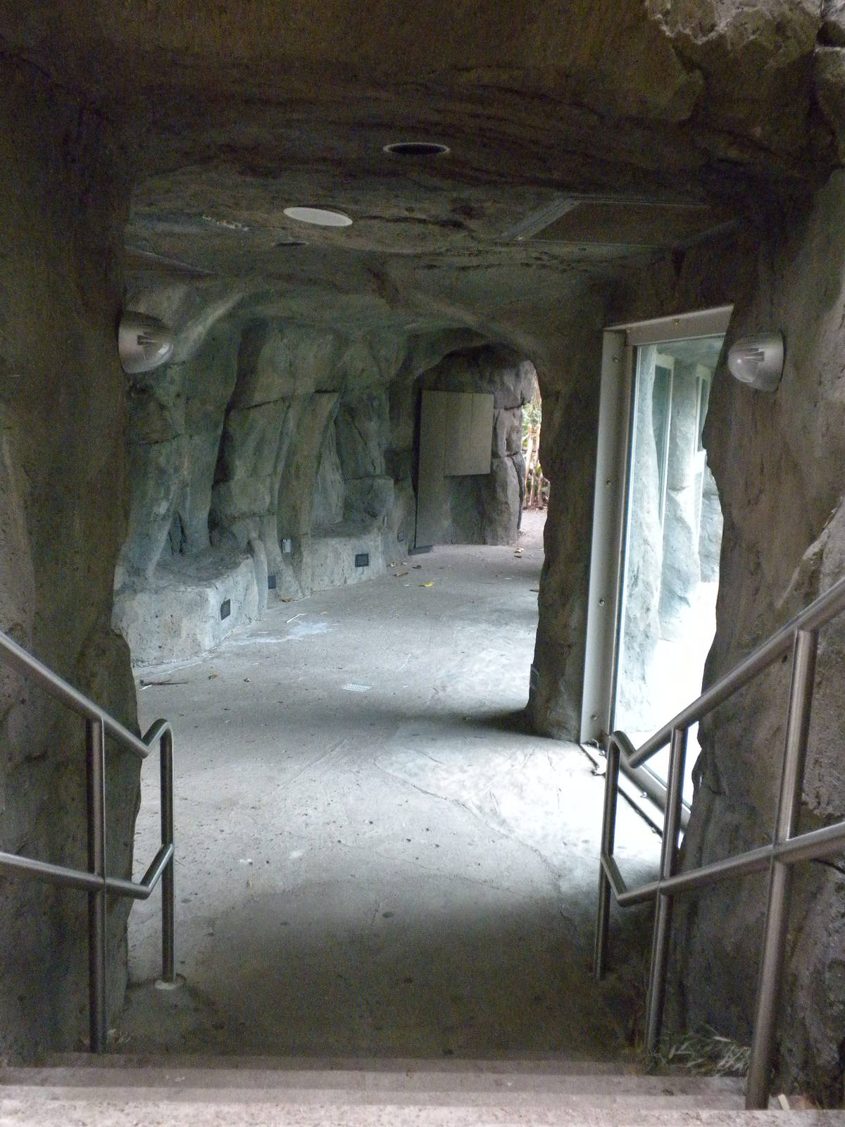 South Gorilla Viewing Bunker