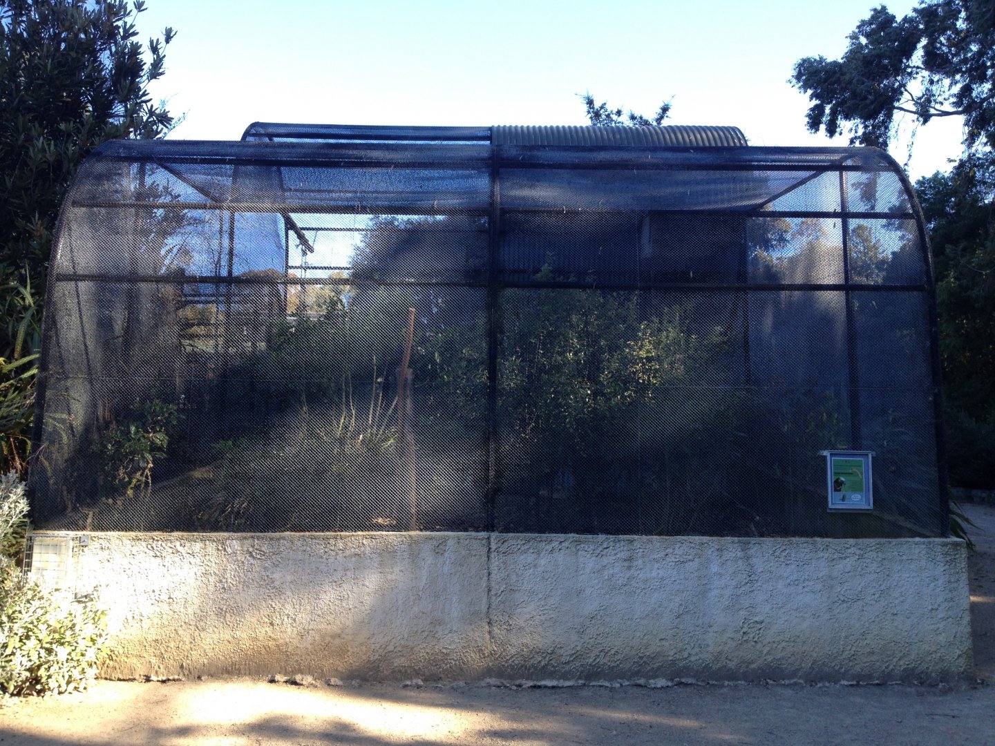 South Island Kaka exhibit