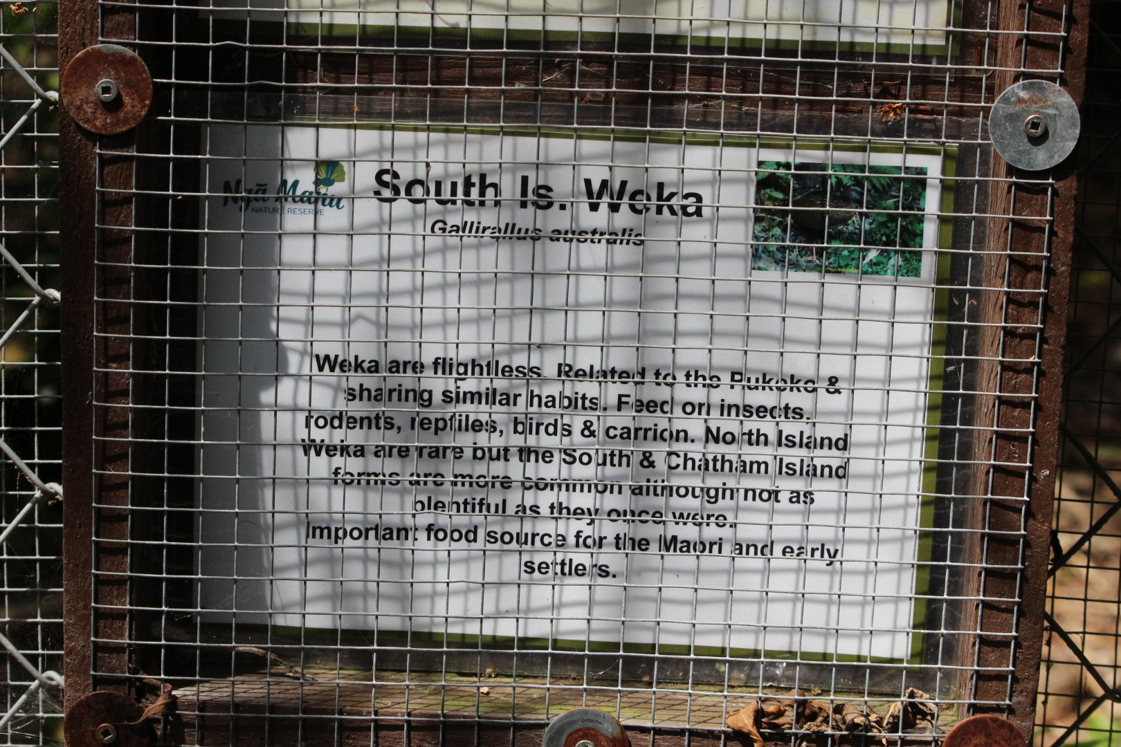 South Island Weka sign