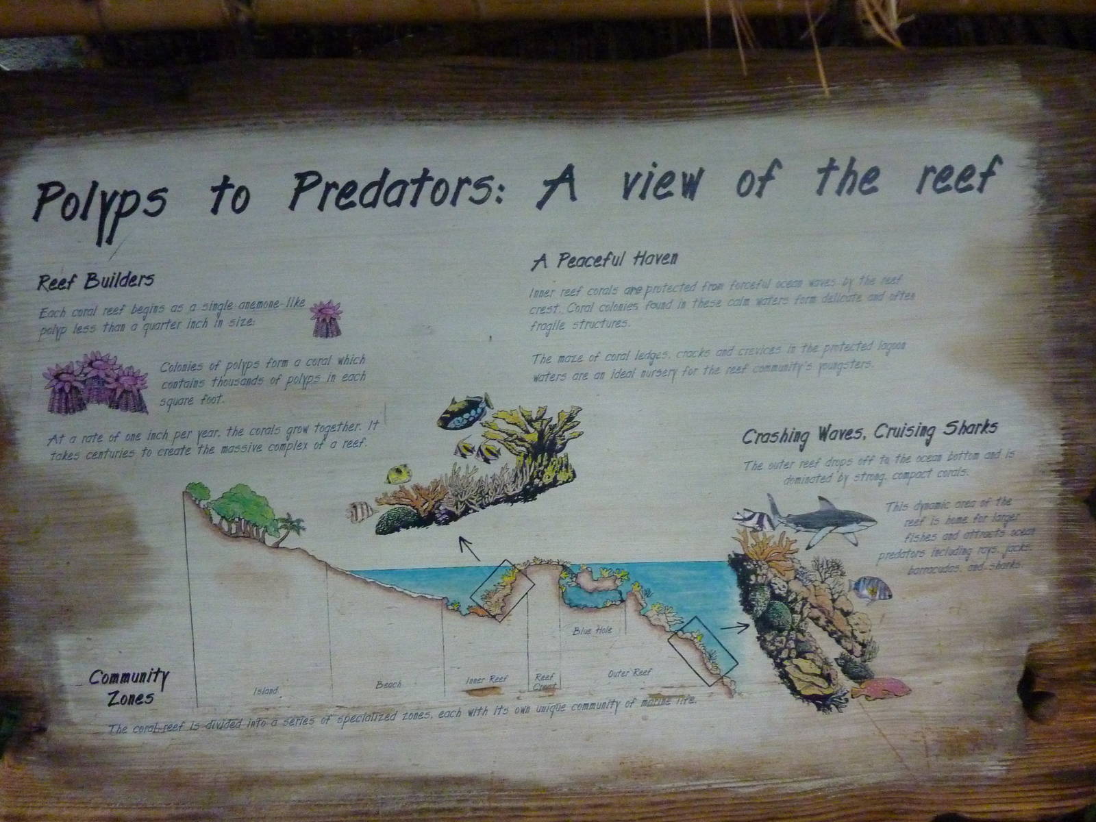 South Pacific Aquarium Sign