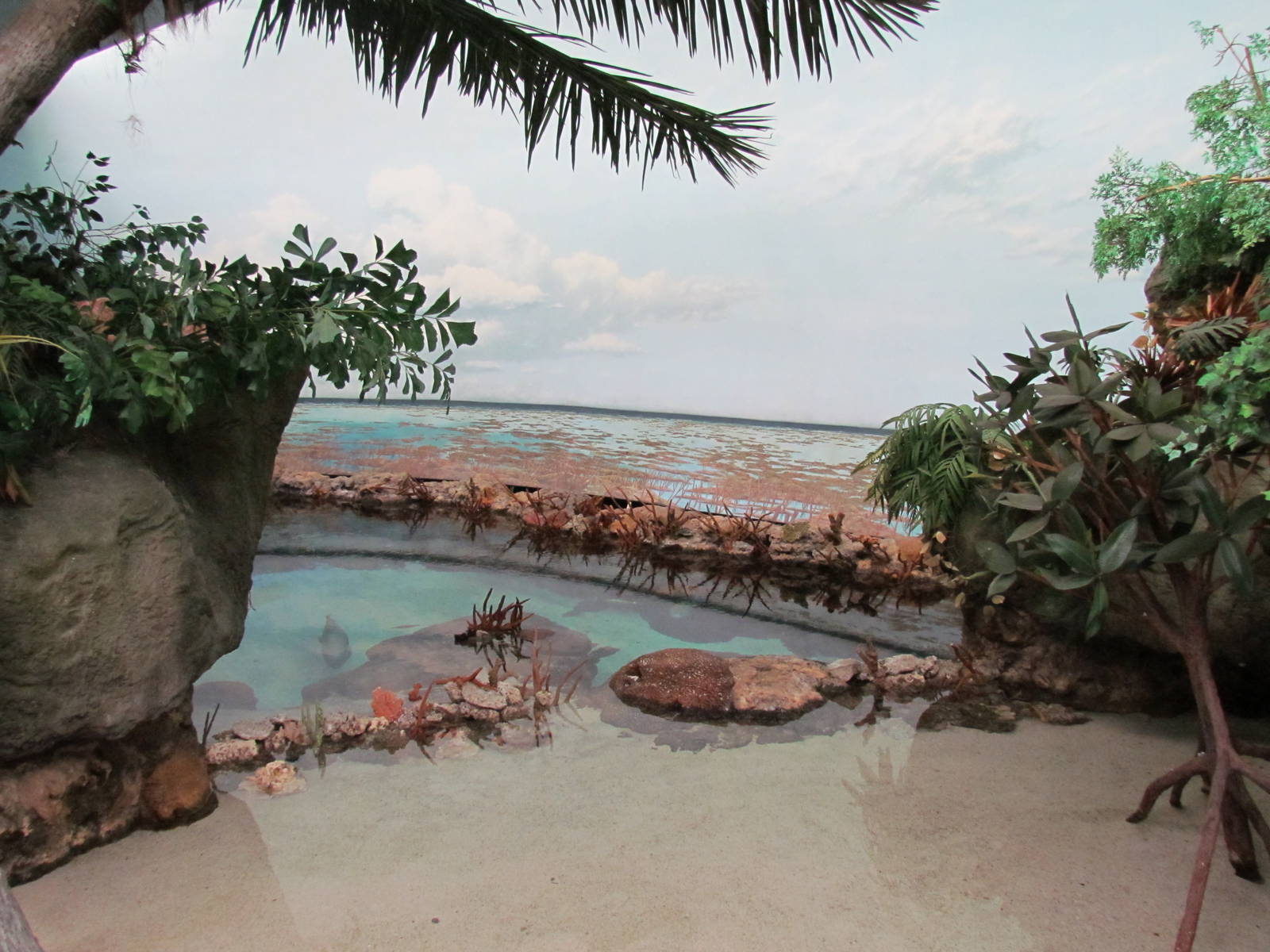 South Pacific Aquarium