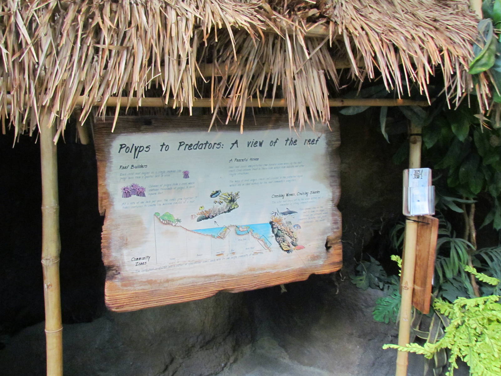 South Pacific Aquarium