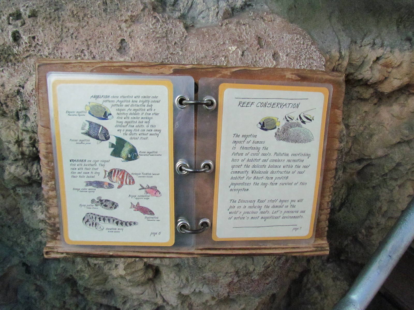 South Pacific Aquarium